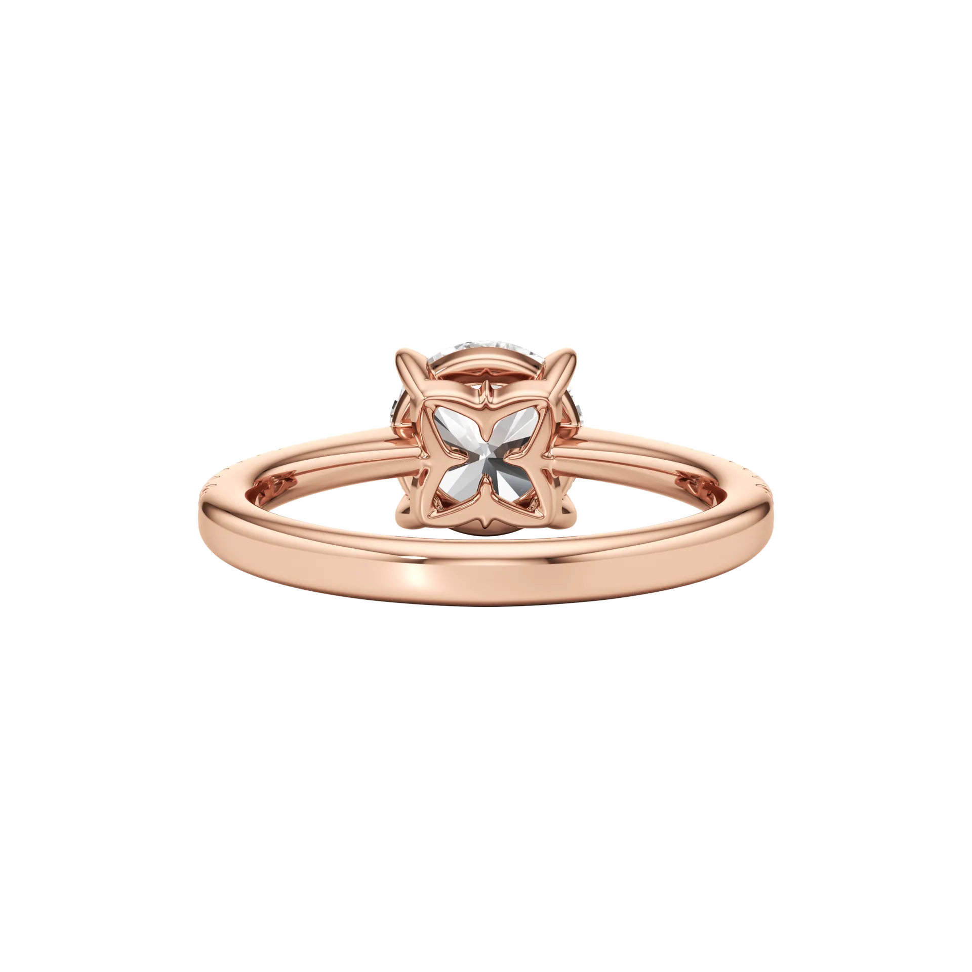 Magnifique Absolune Rose 5