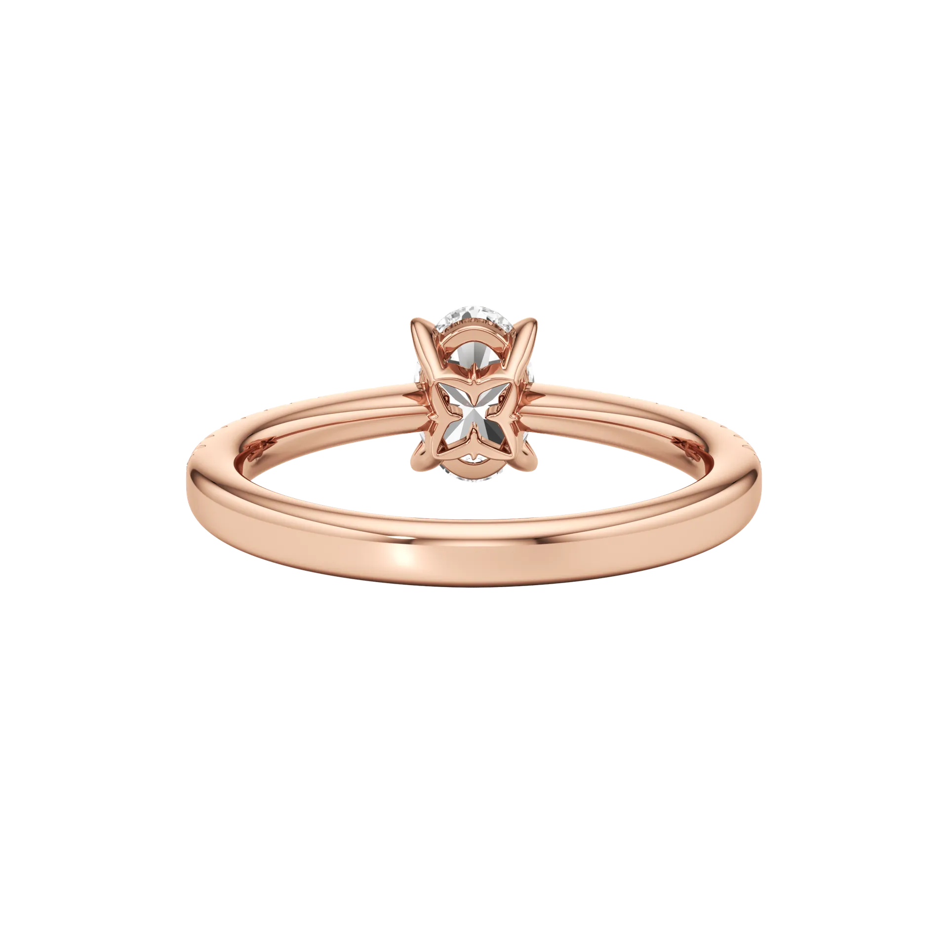 Sublime Élan Rose 5