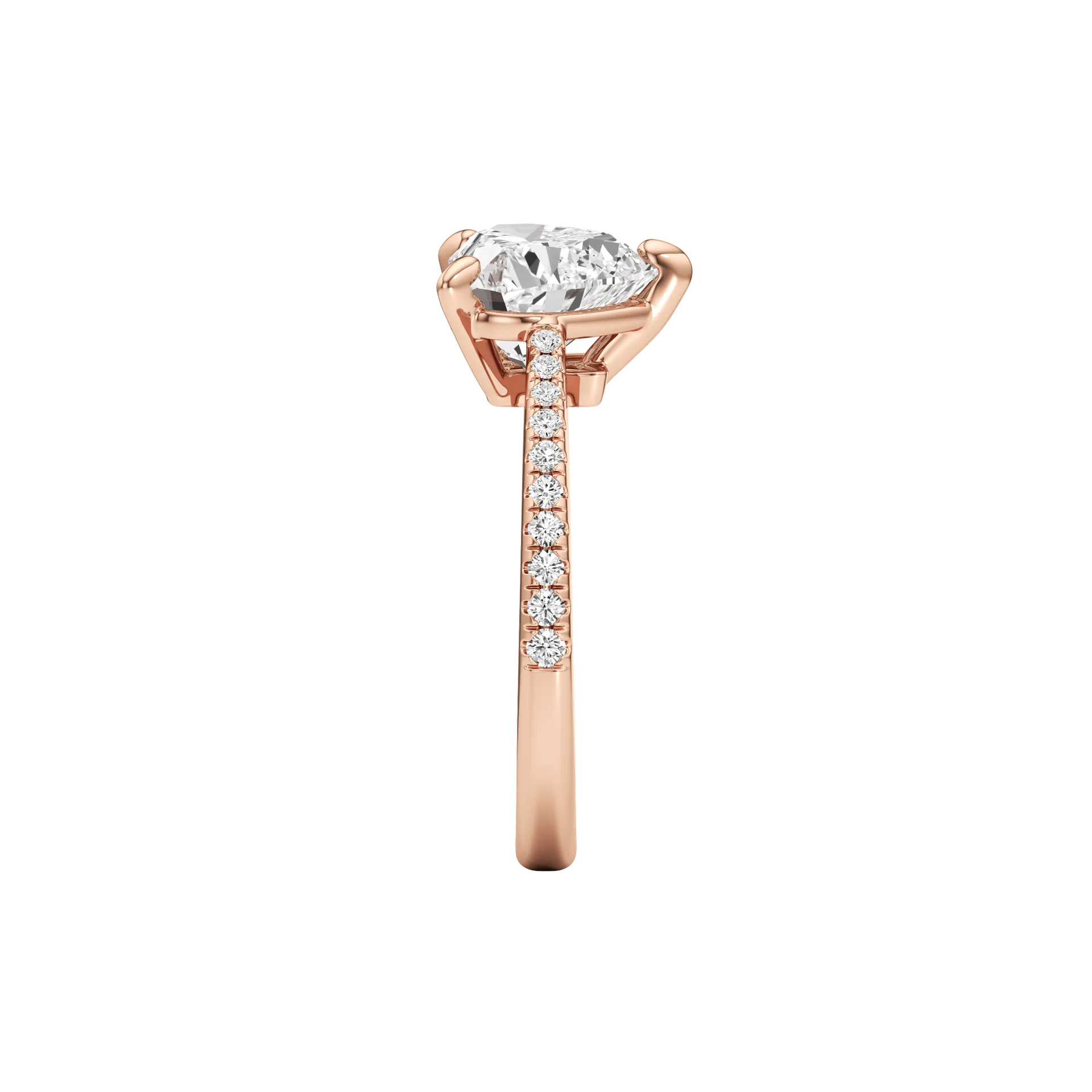 Sublime Halo Rose 4