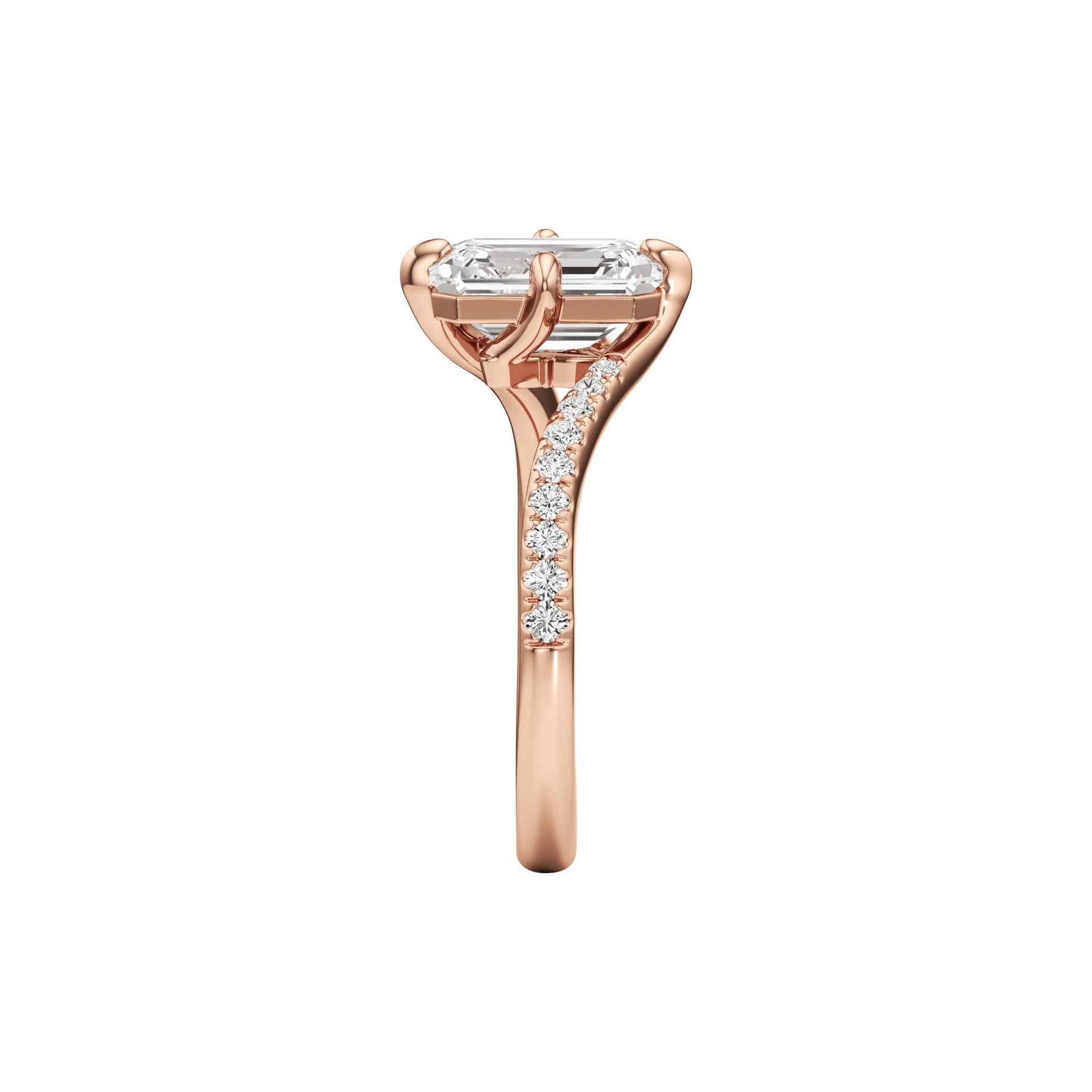 Éclatée Sobre Rose 4