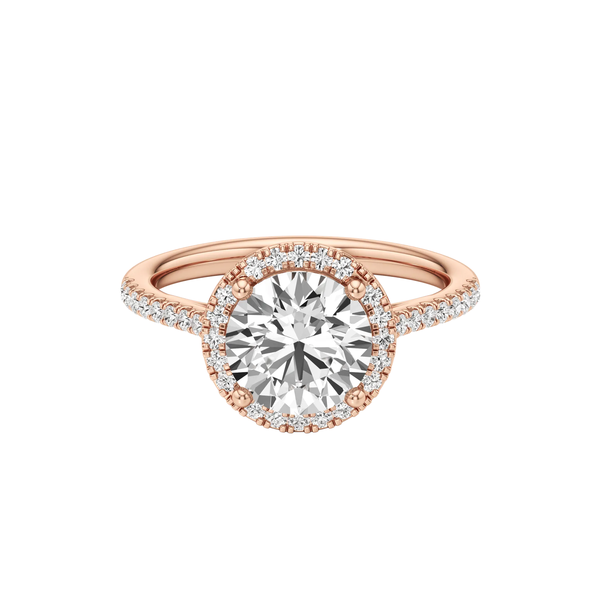 Voilée Belle Rose 1