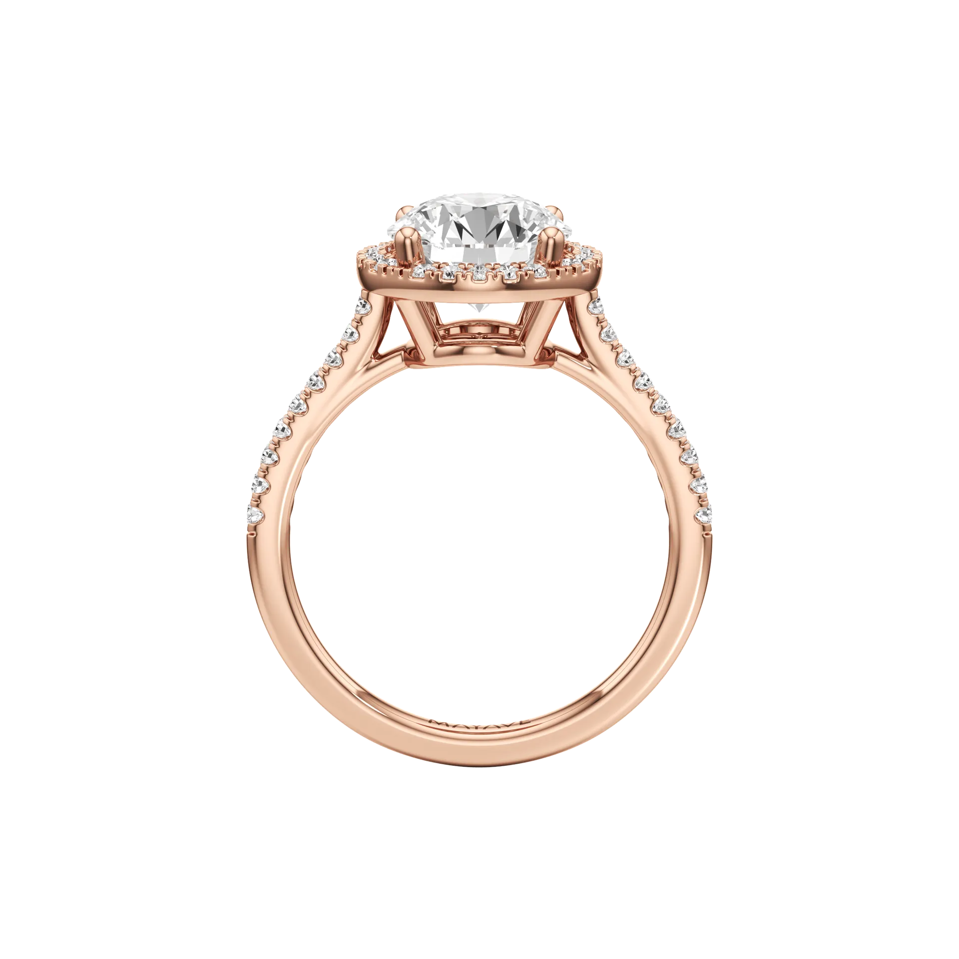 Voilée Belle Rose 3