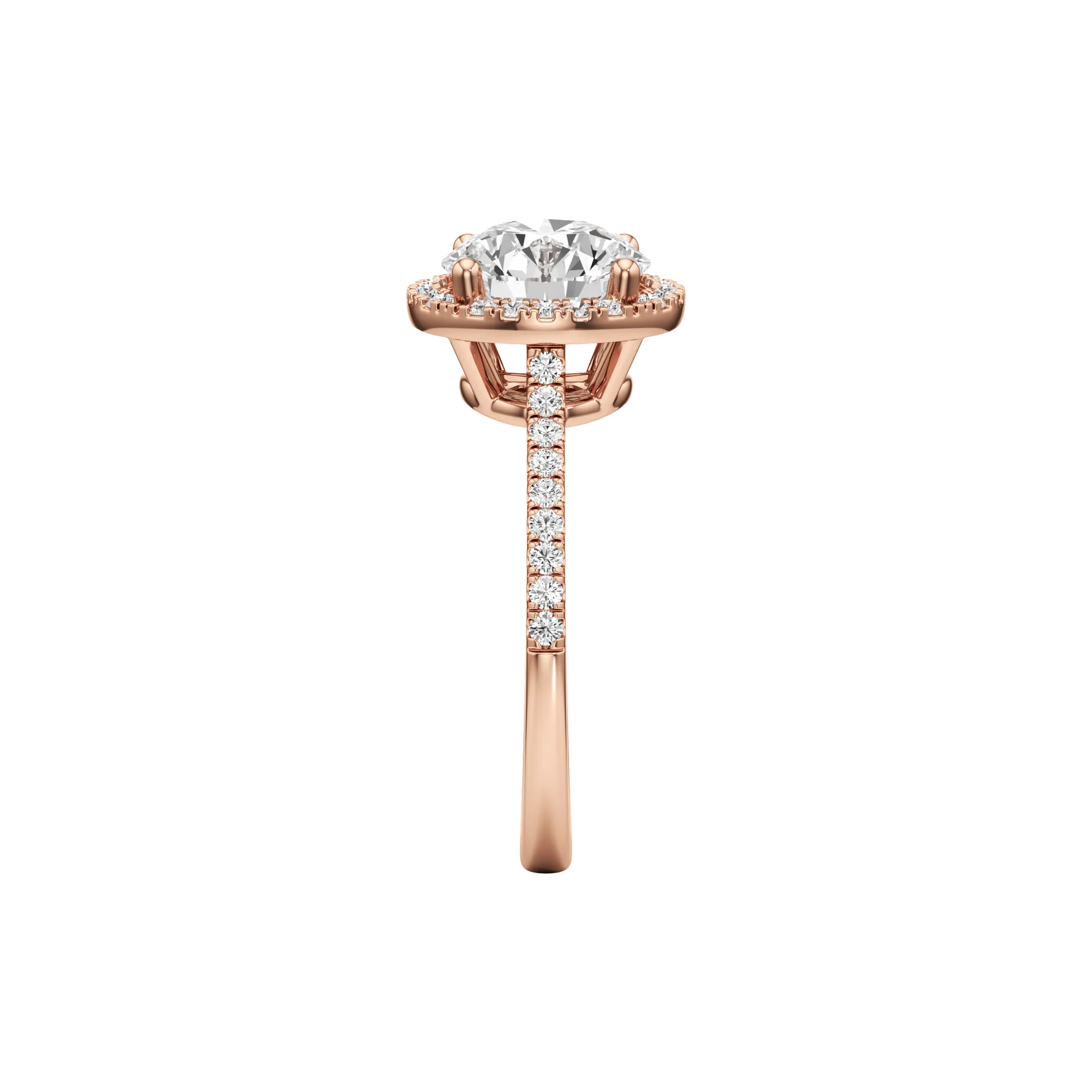 Voilée Belle Rose 4