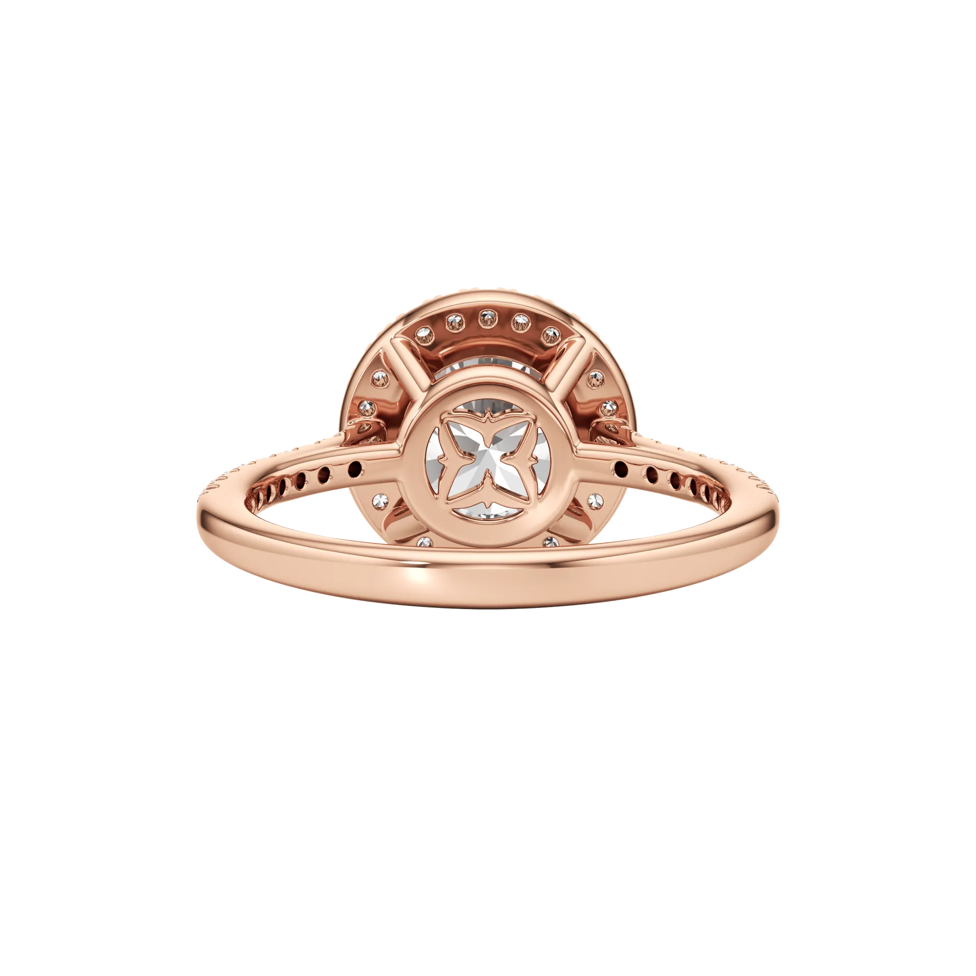 Voilée Belle Rose 5