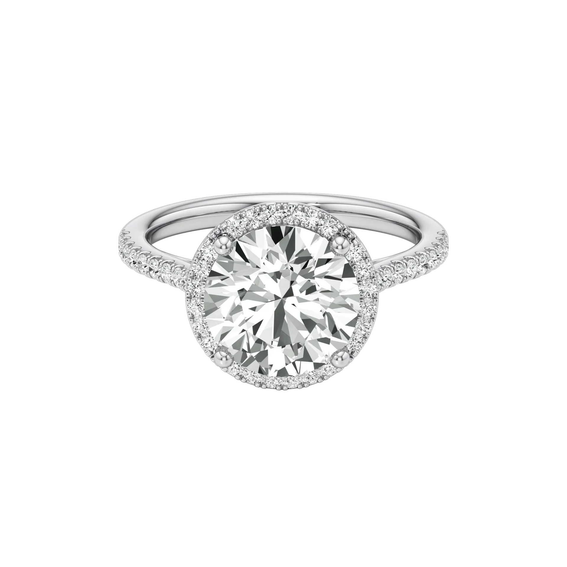 Voilée Majeure White 1