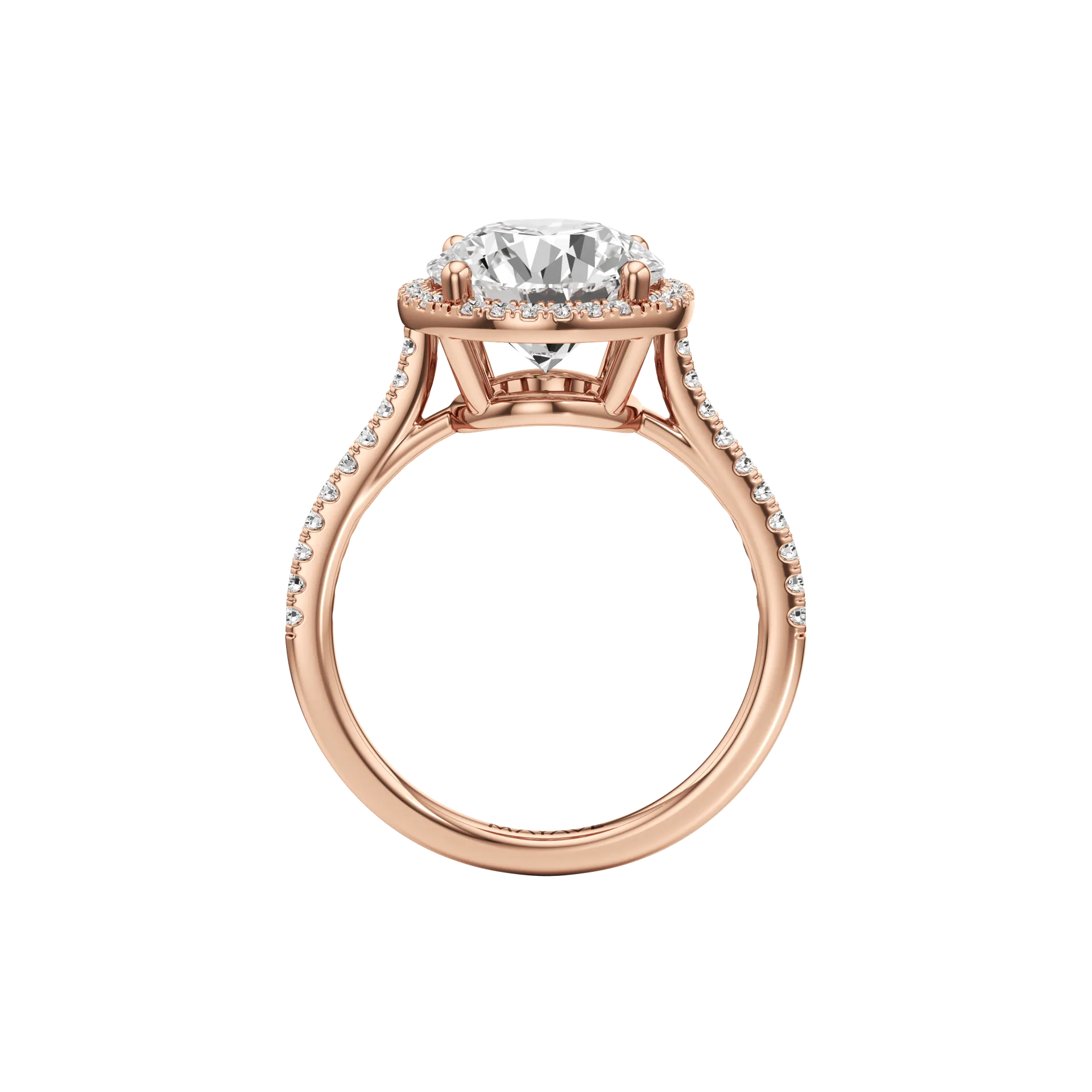 Voilée Majeure Rose 3