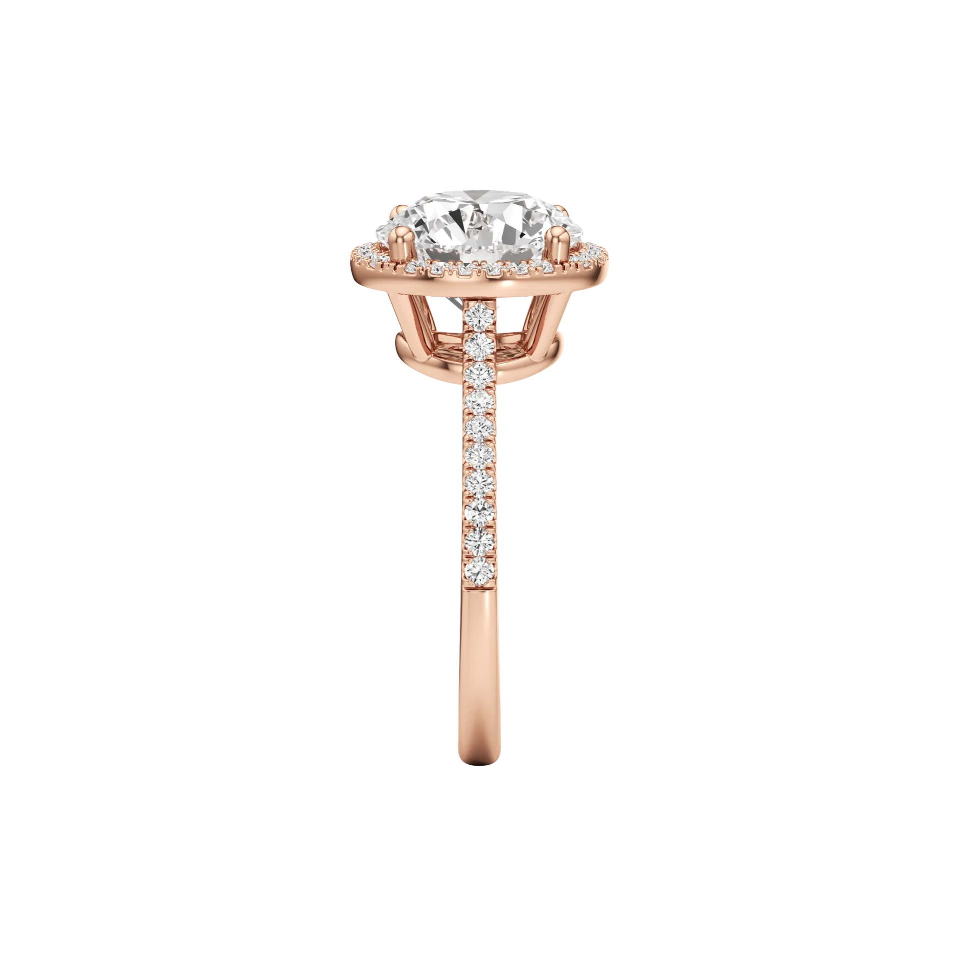 Voilée Majeure Rose 4