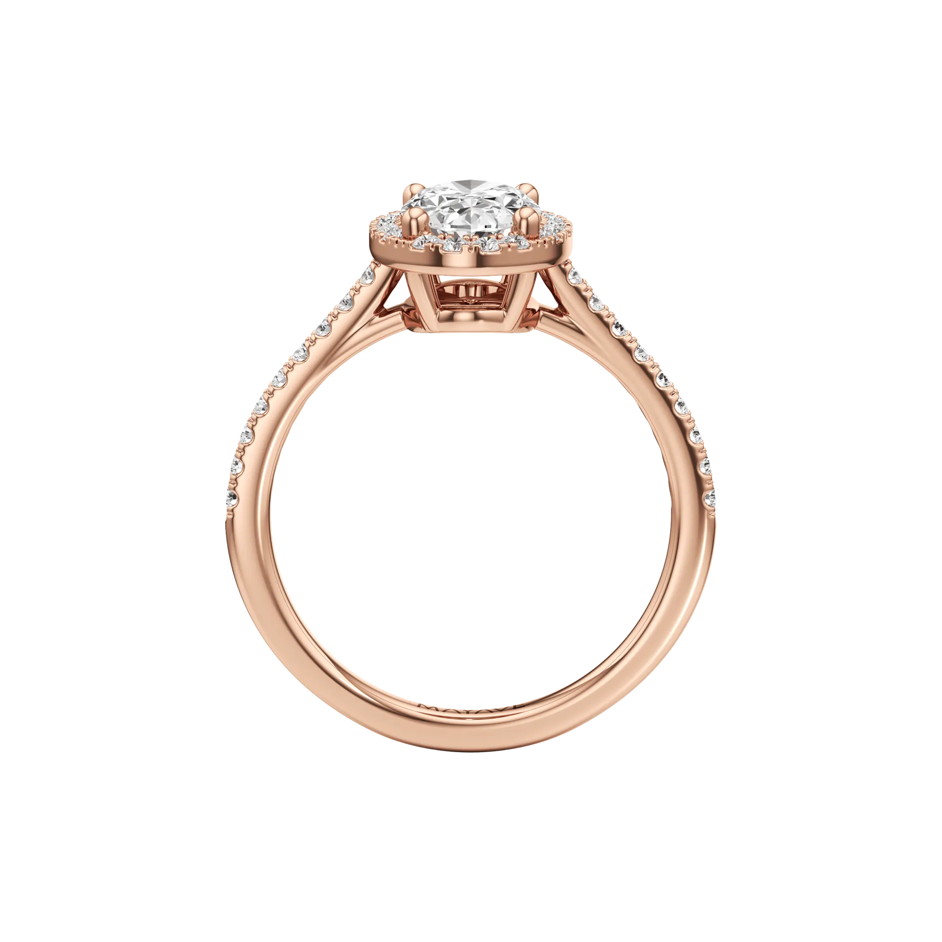 Voilée Élan Rose 3