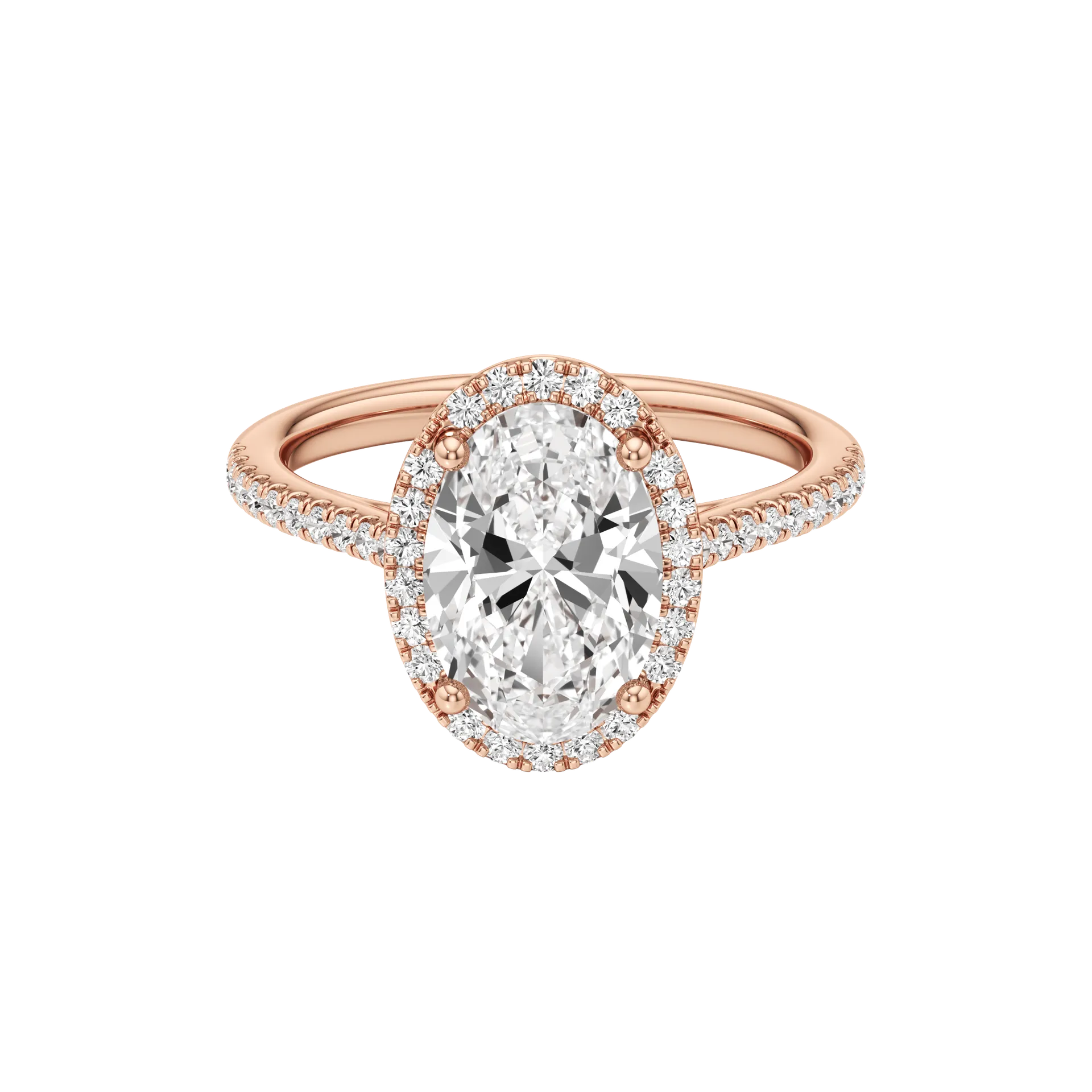 Voilée Vivace Rose 1