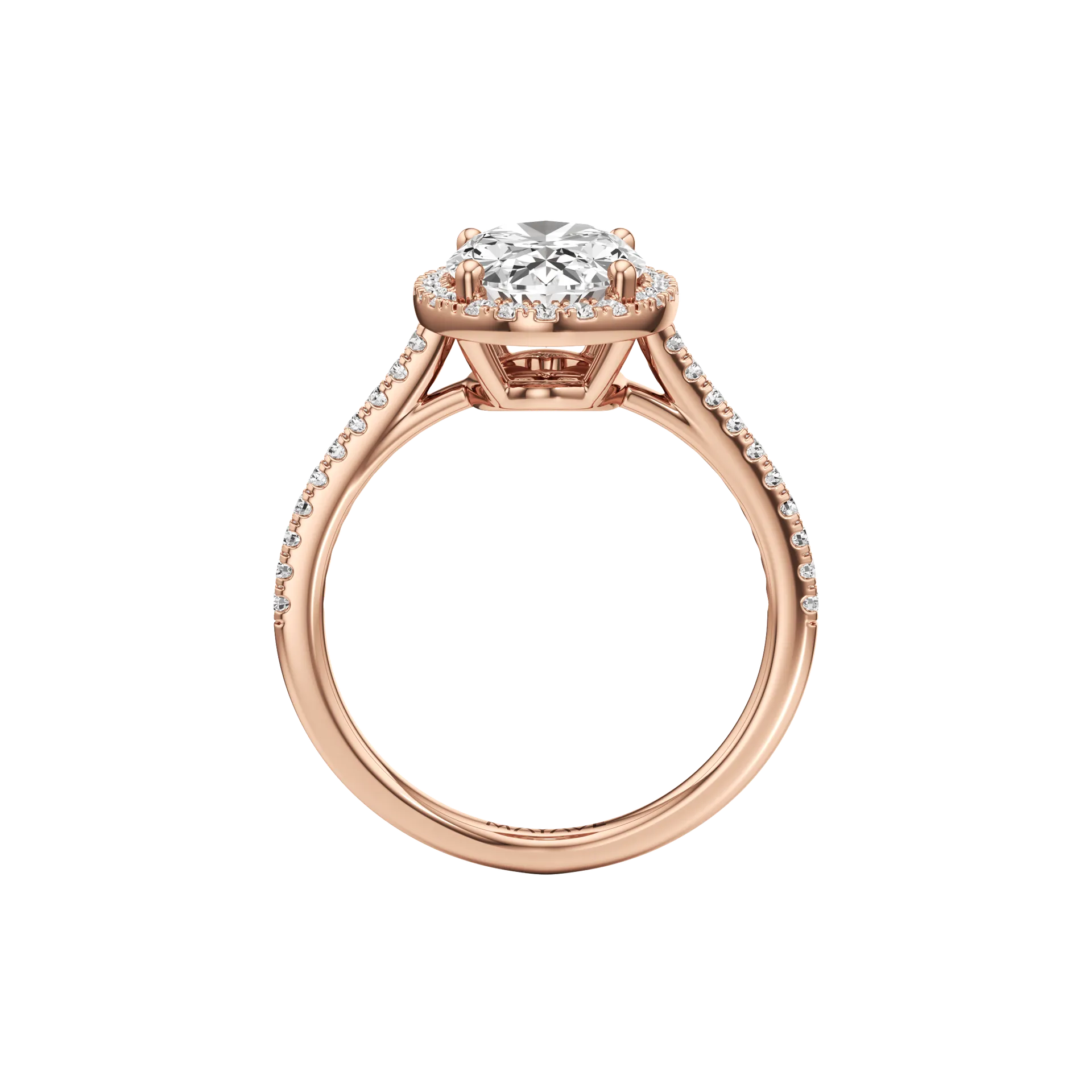 Voilée Vivace Rose 3