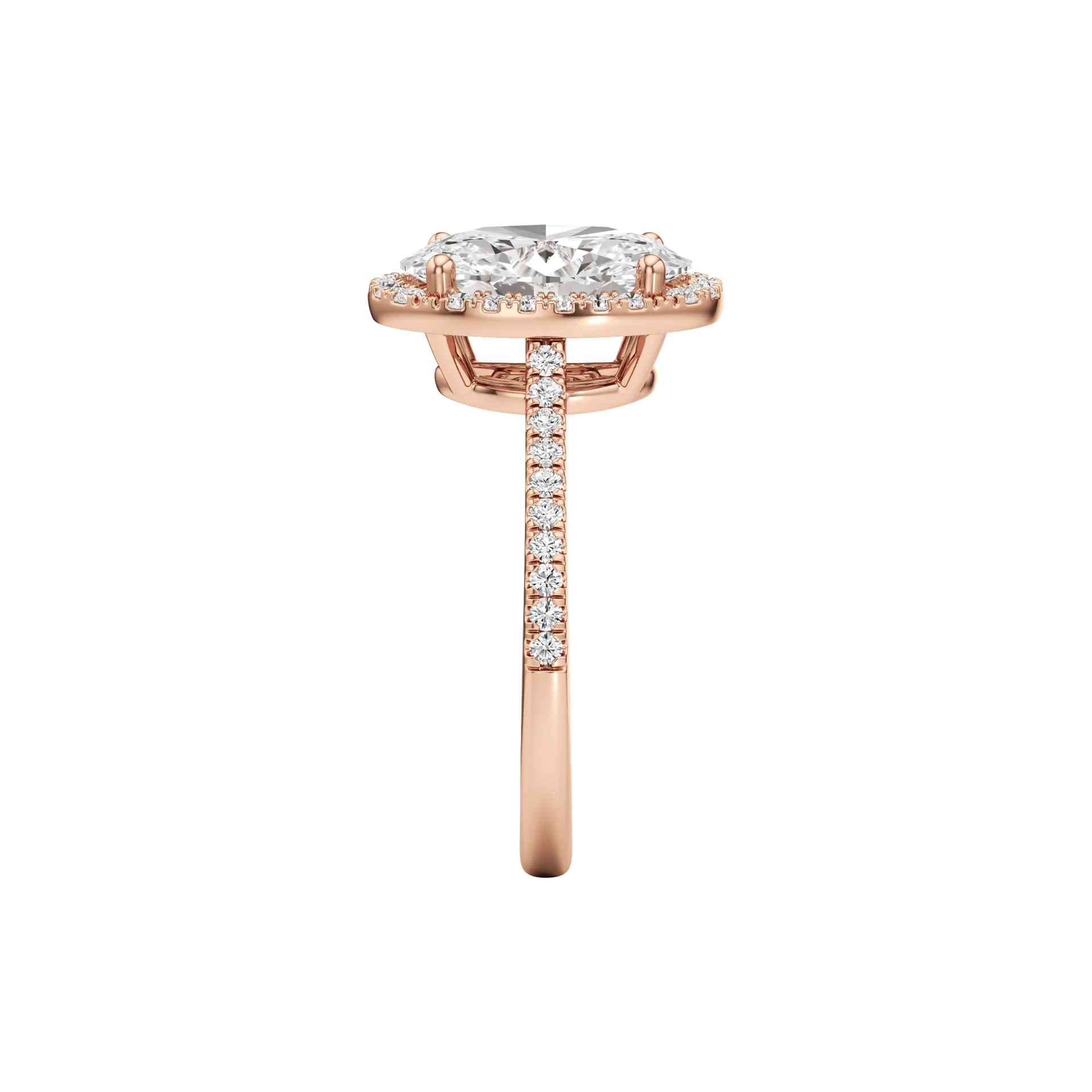 Voilée Vivace Rose 4