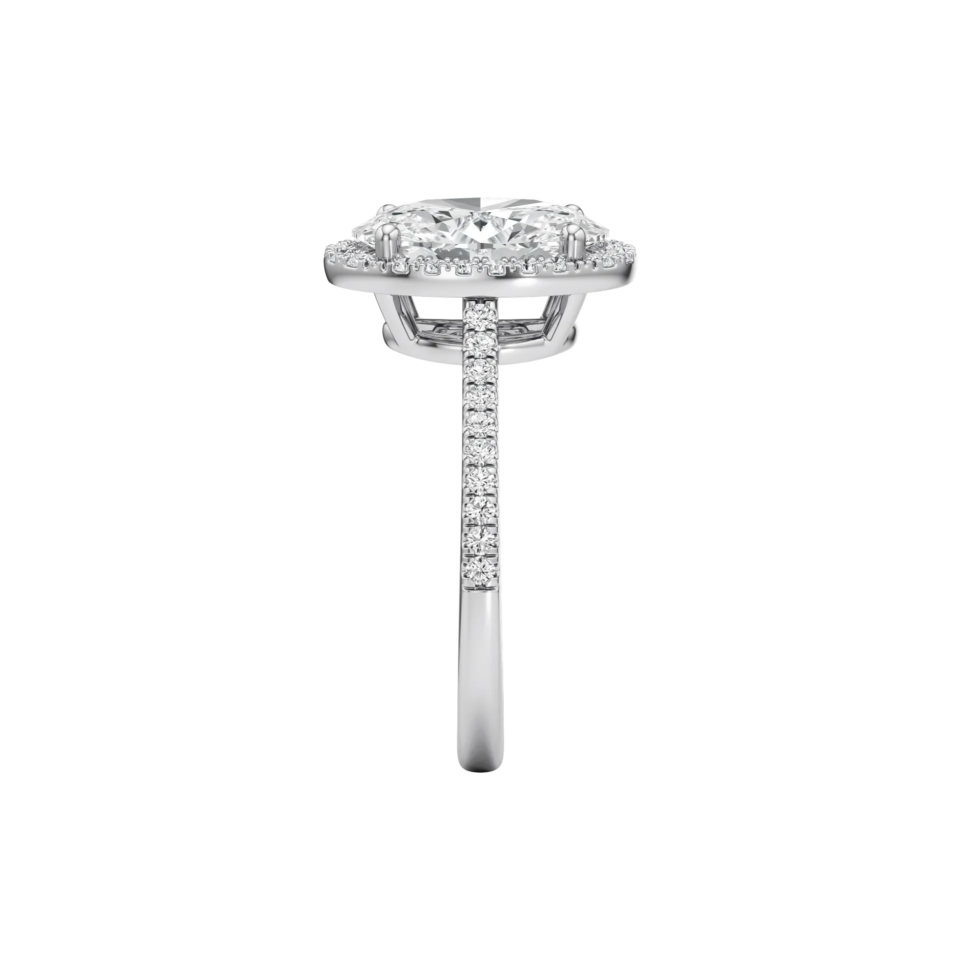 Voilée Vivace White 4
