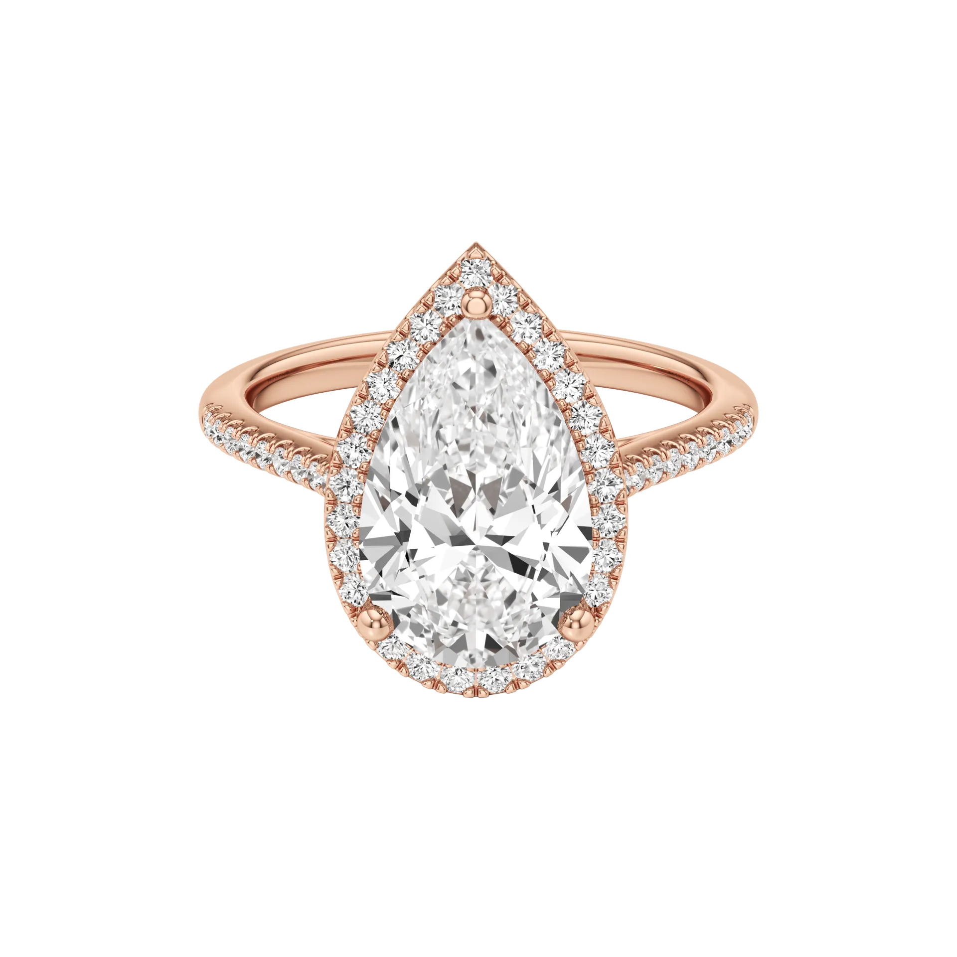 Voilée Quatre Rose 1
