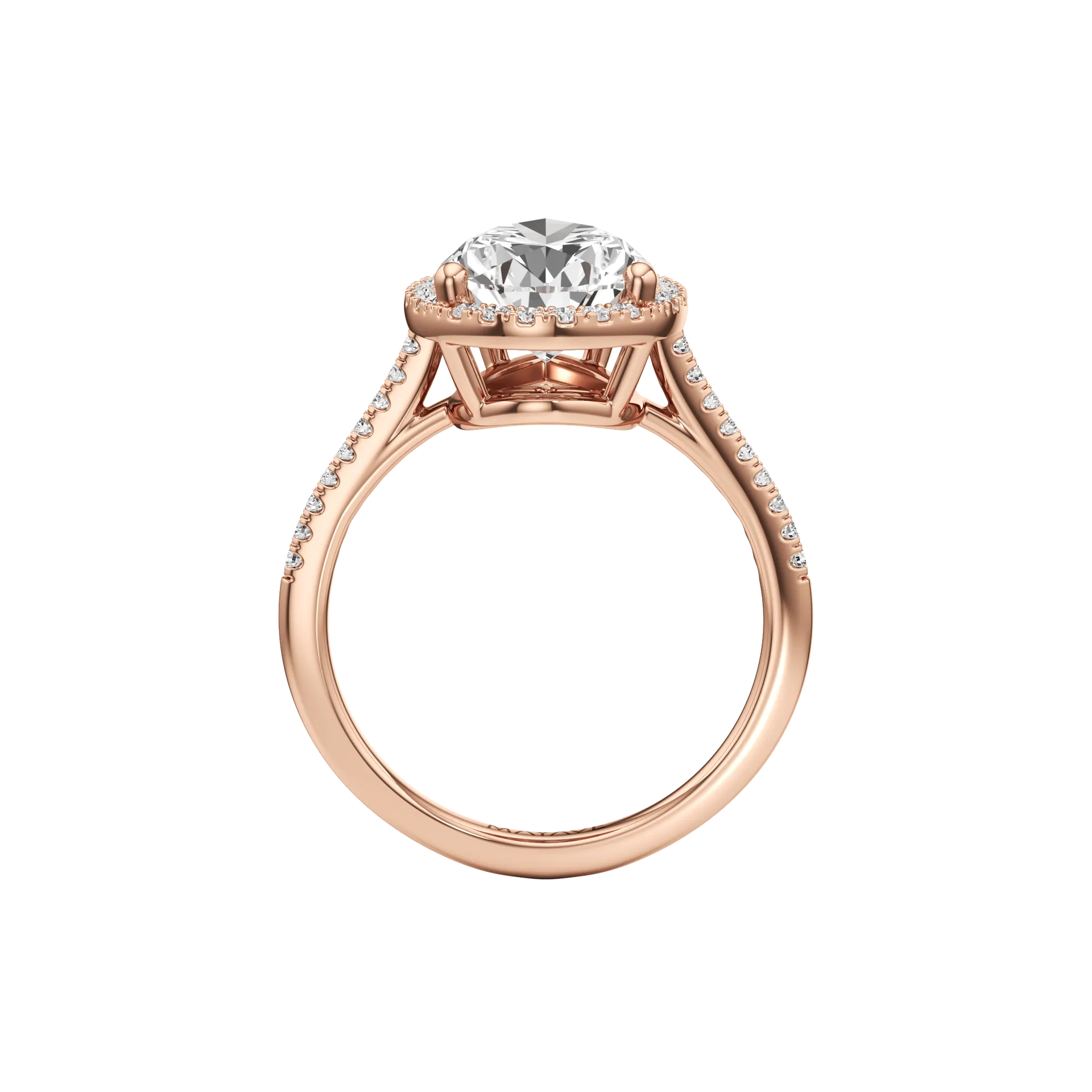 Voilée Quatre Rose 3