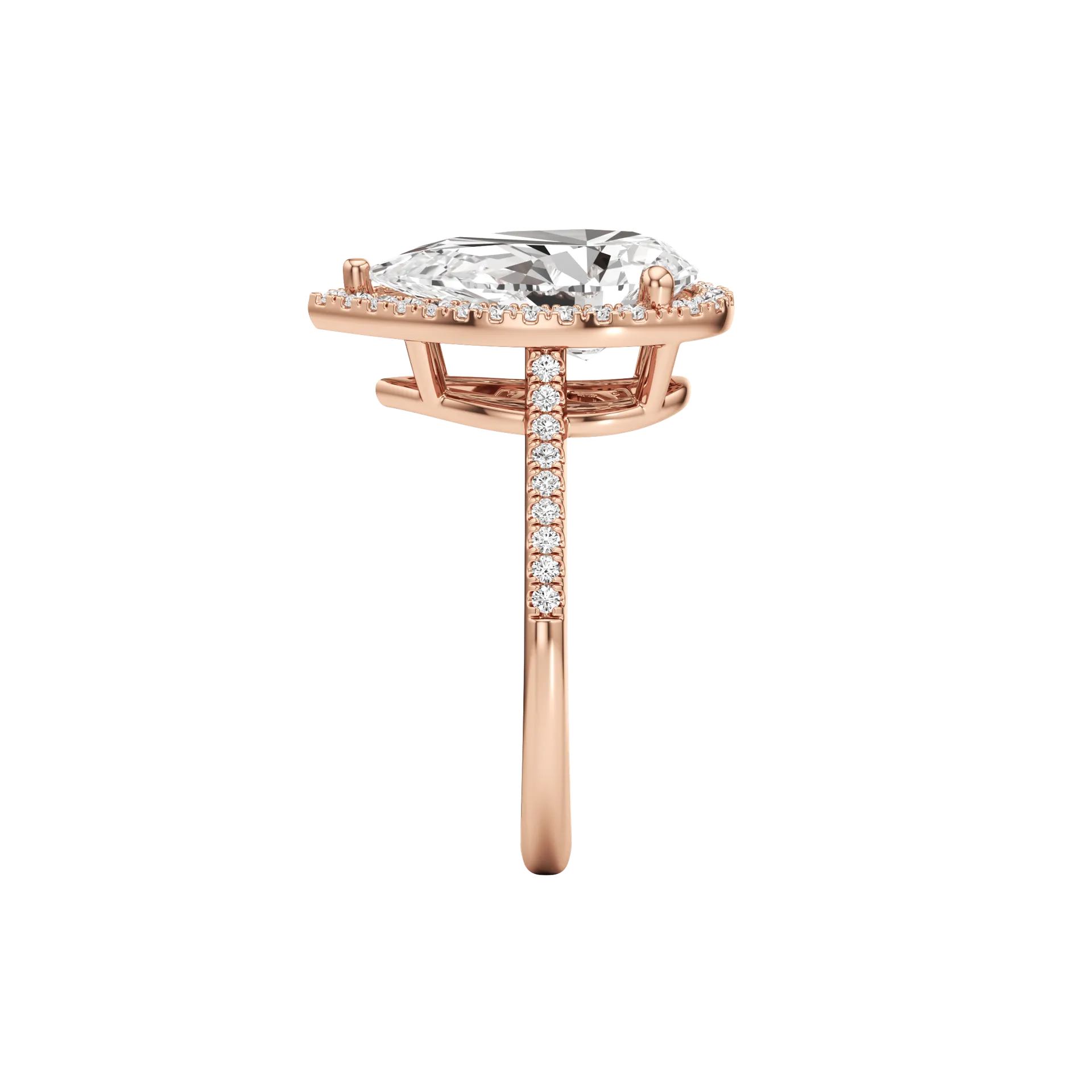 Voilée Quatre Rose 4