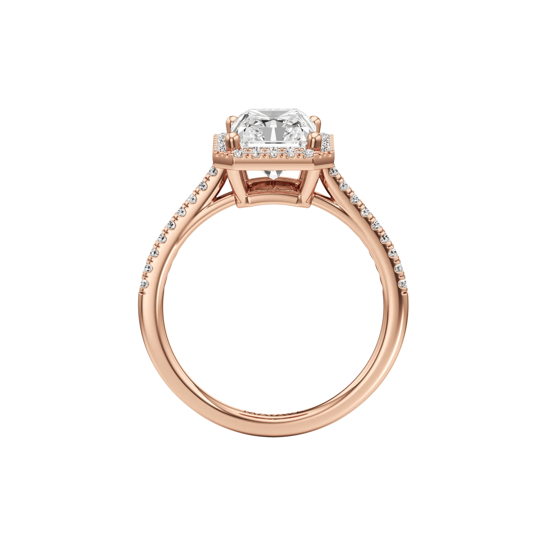 Voilée Deux Rose 3