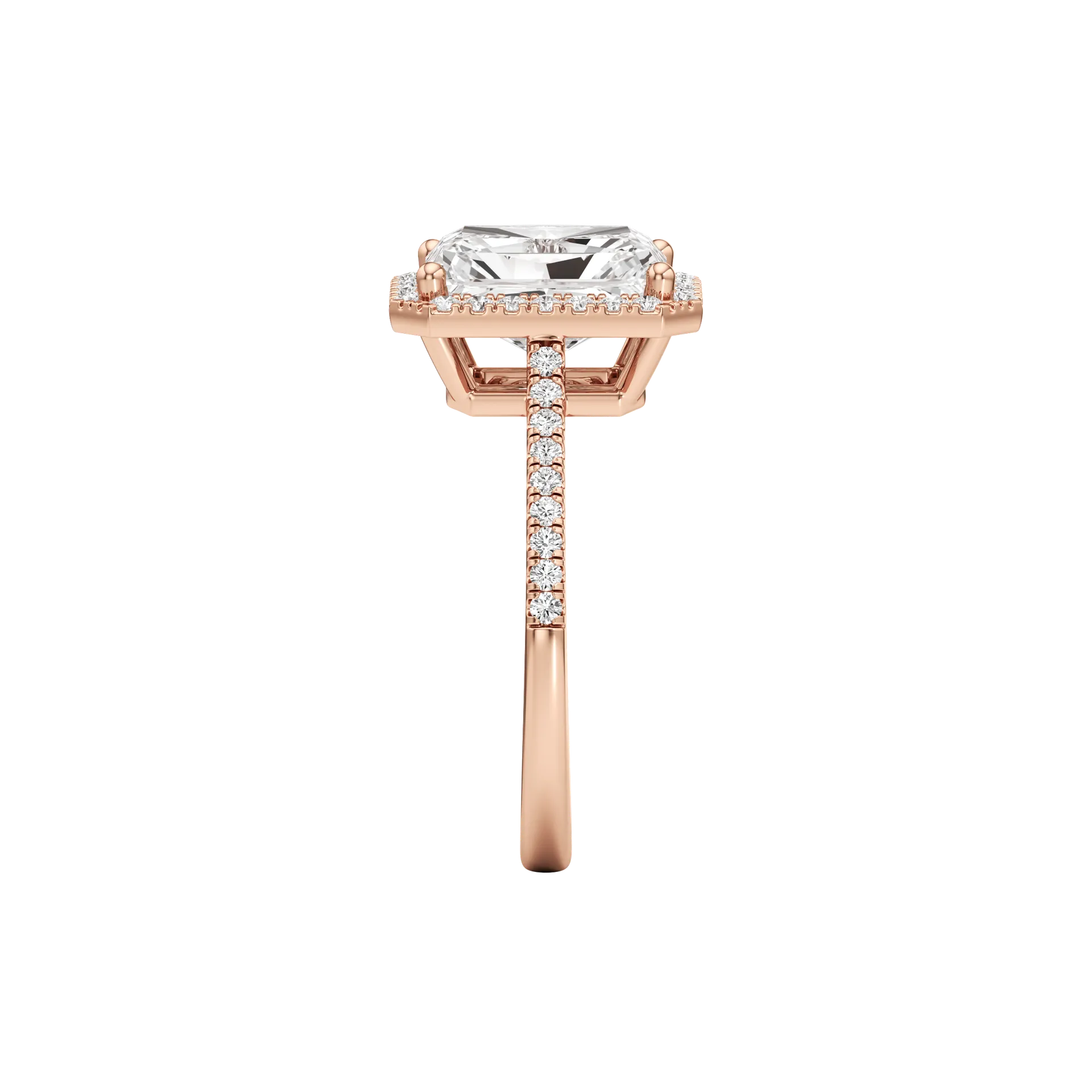 Voilée Deux Rose 4