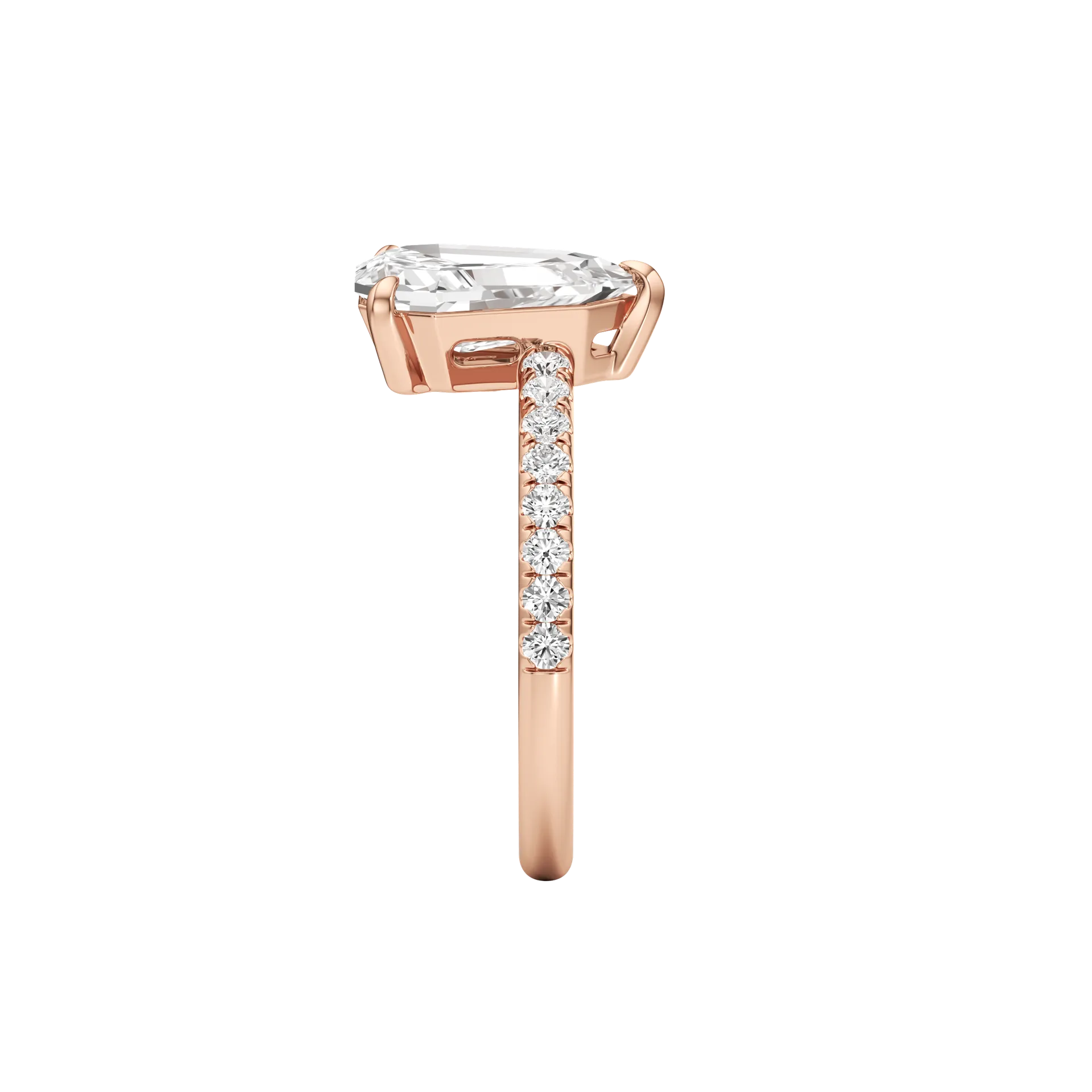 Bouclier Rose 4
