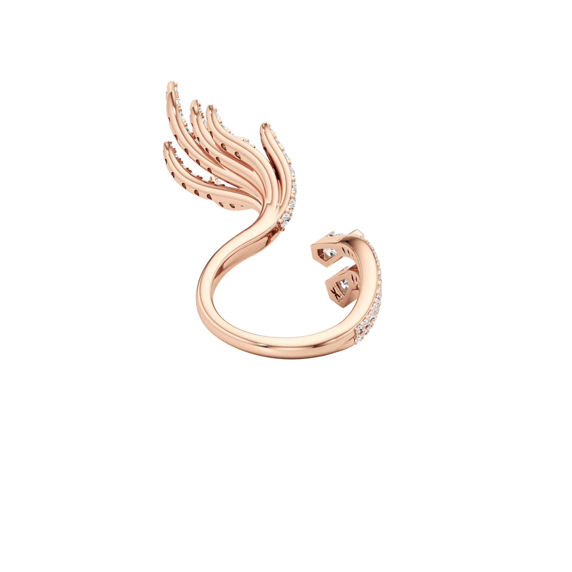 Libera Deux Rose 5