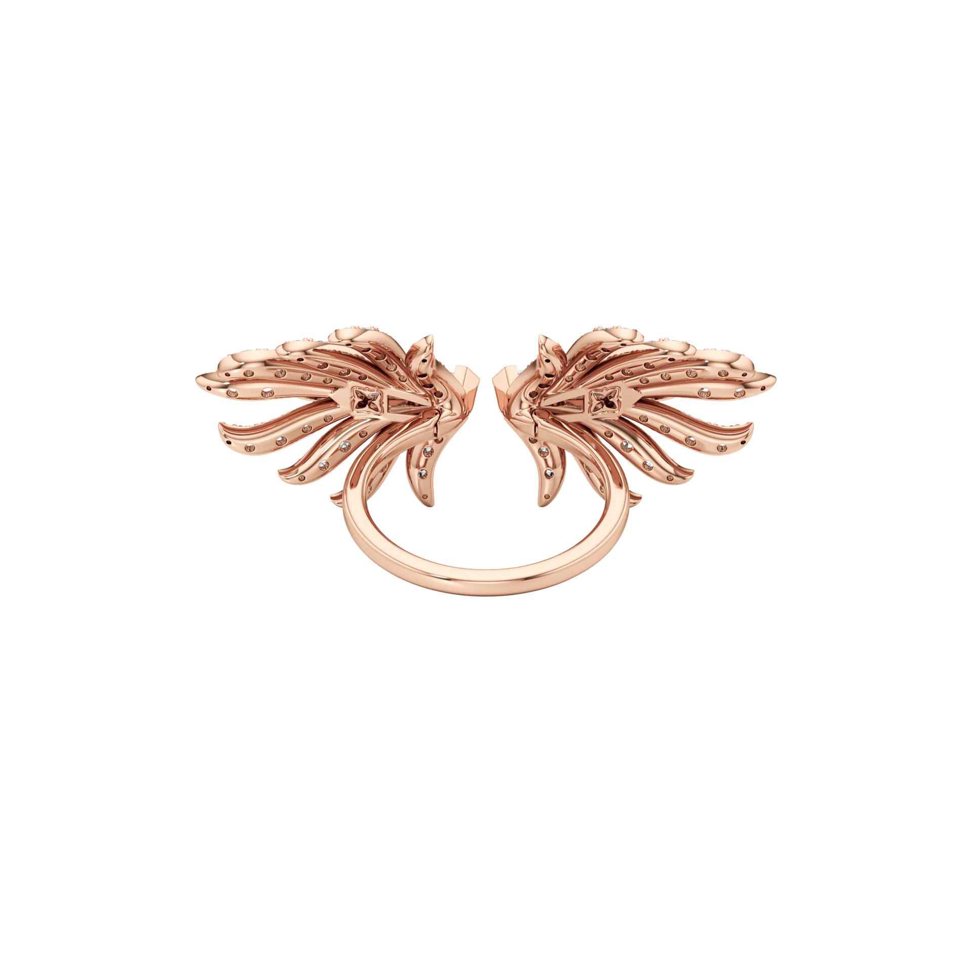 Libera Magna Rose 5