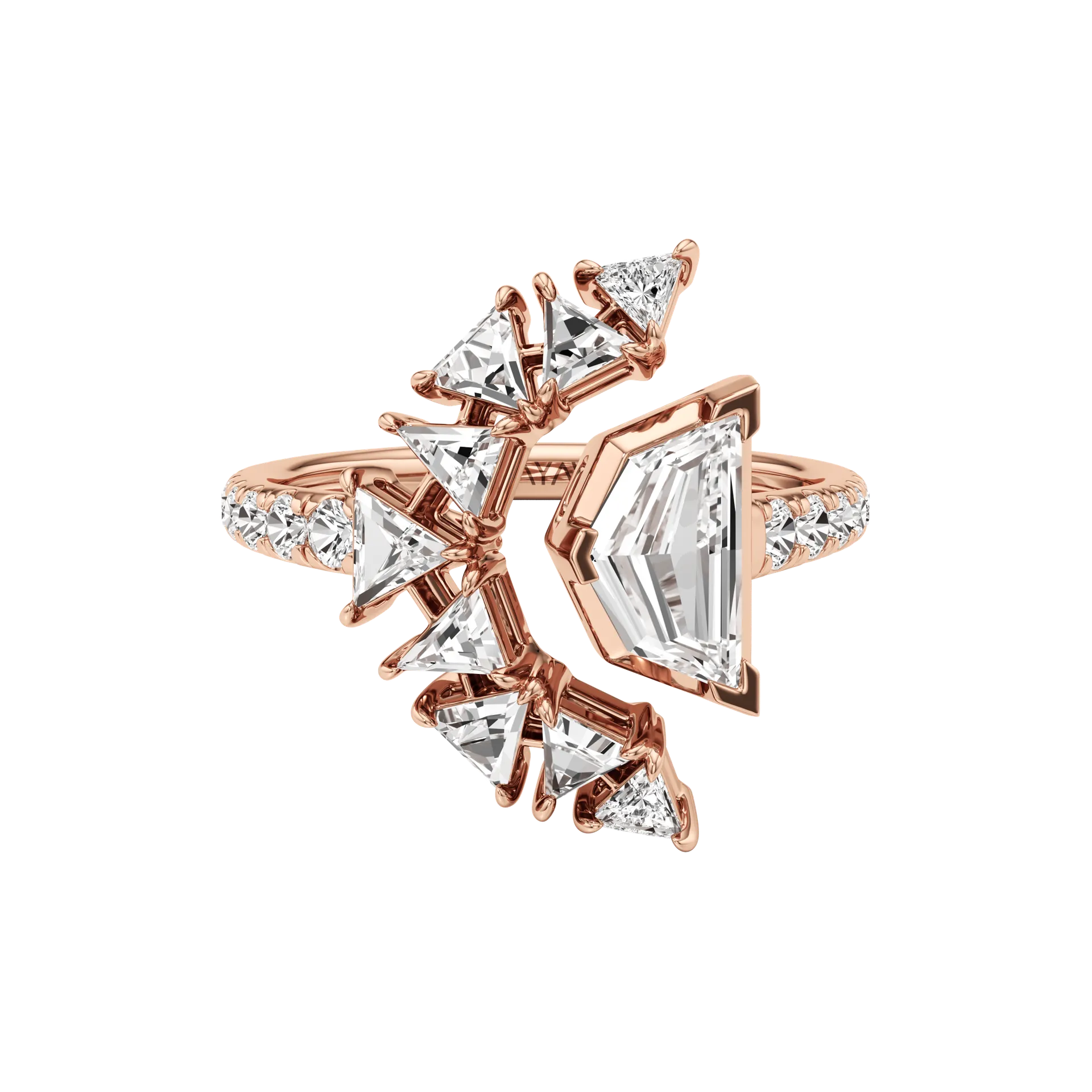 Insegna Rose 1
