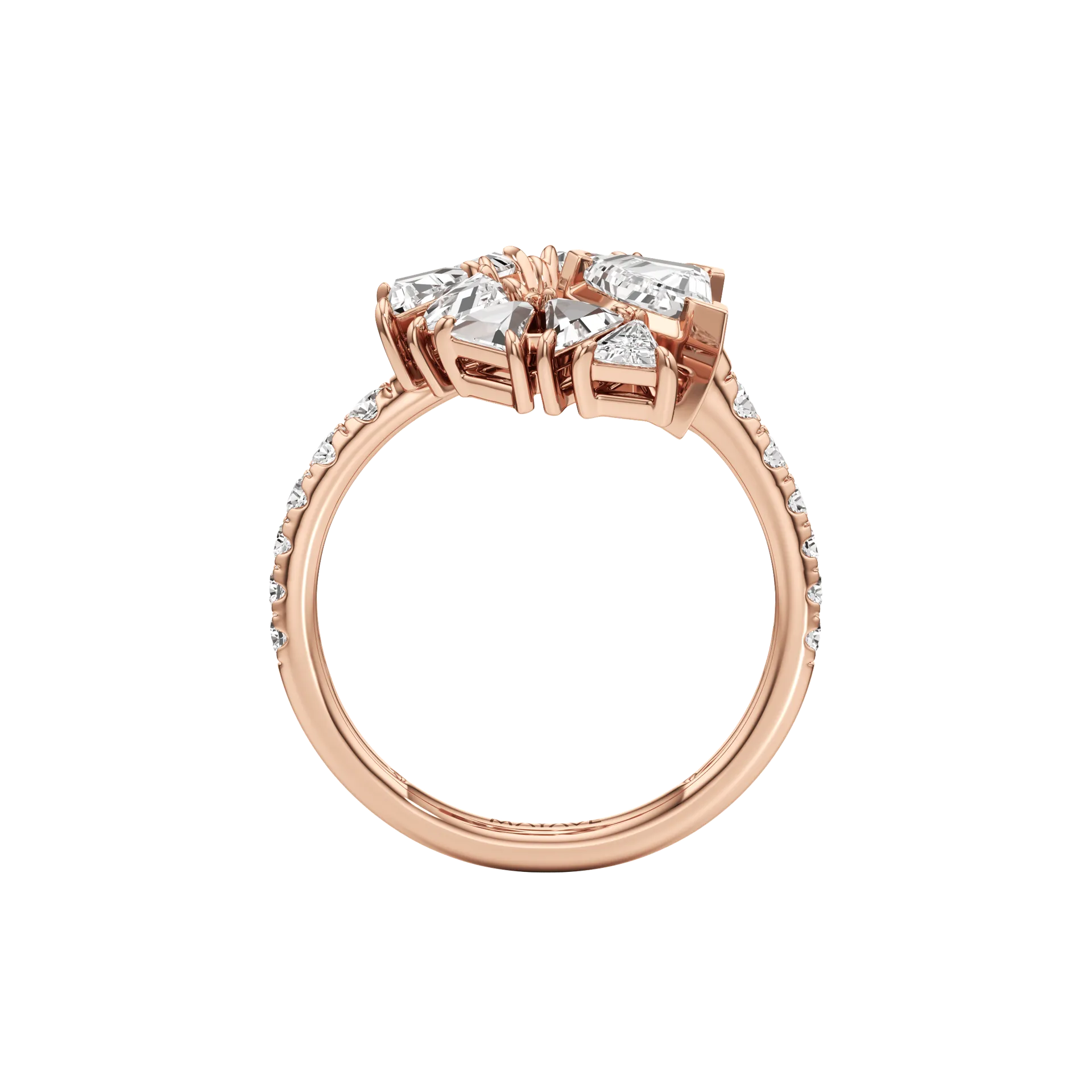 Insegna Rose 3