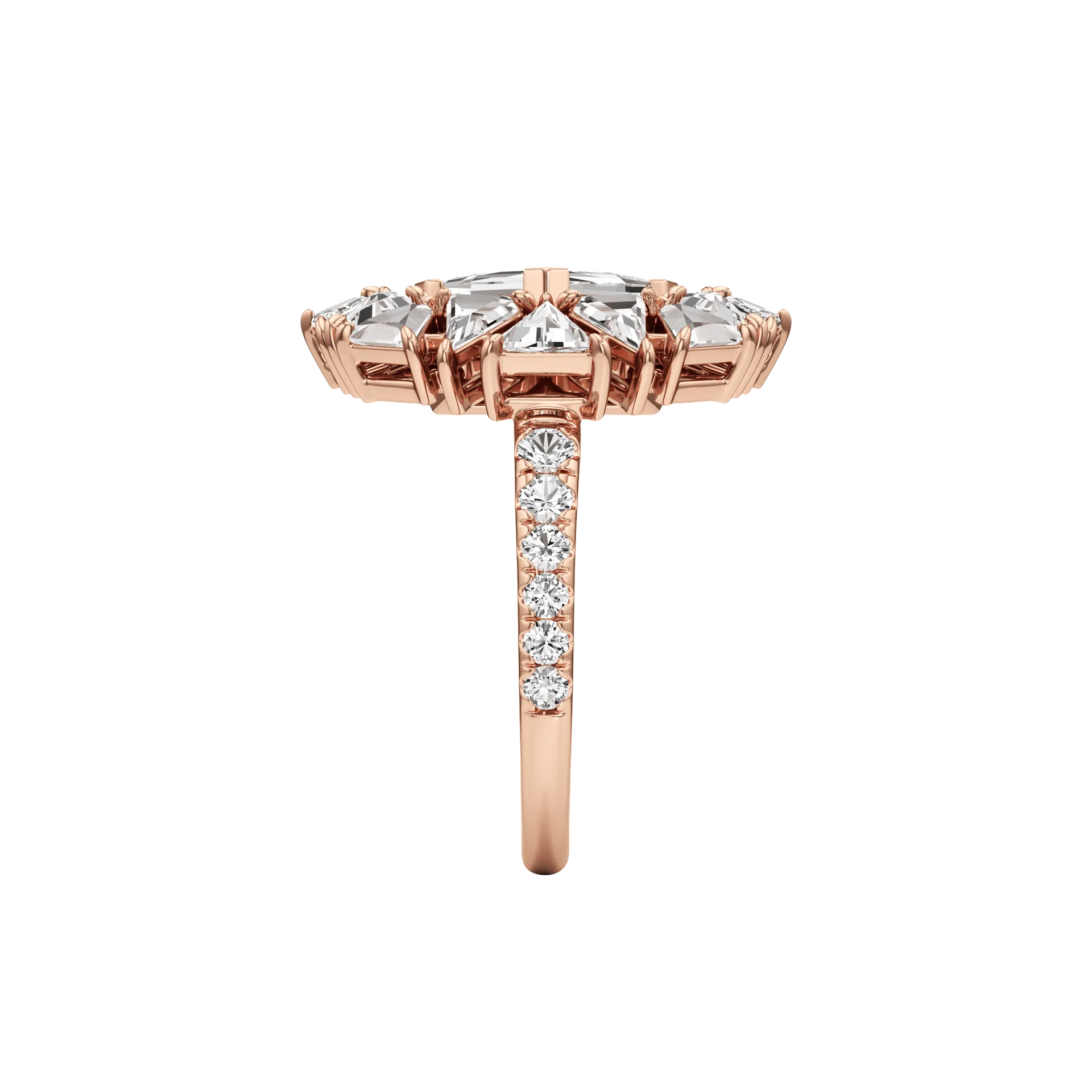 Insegna Rose 4