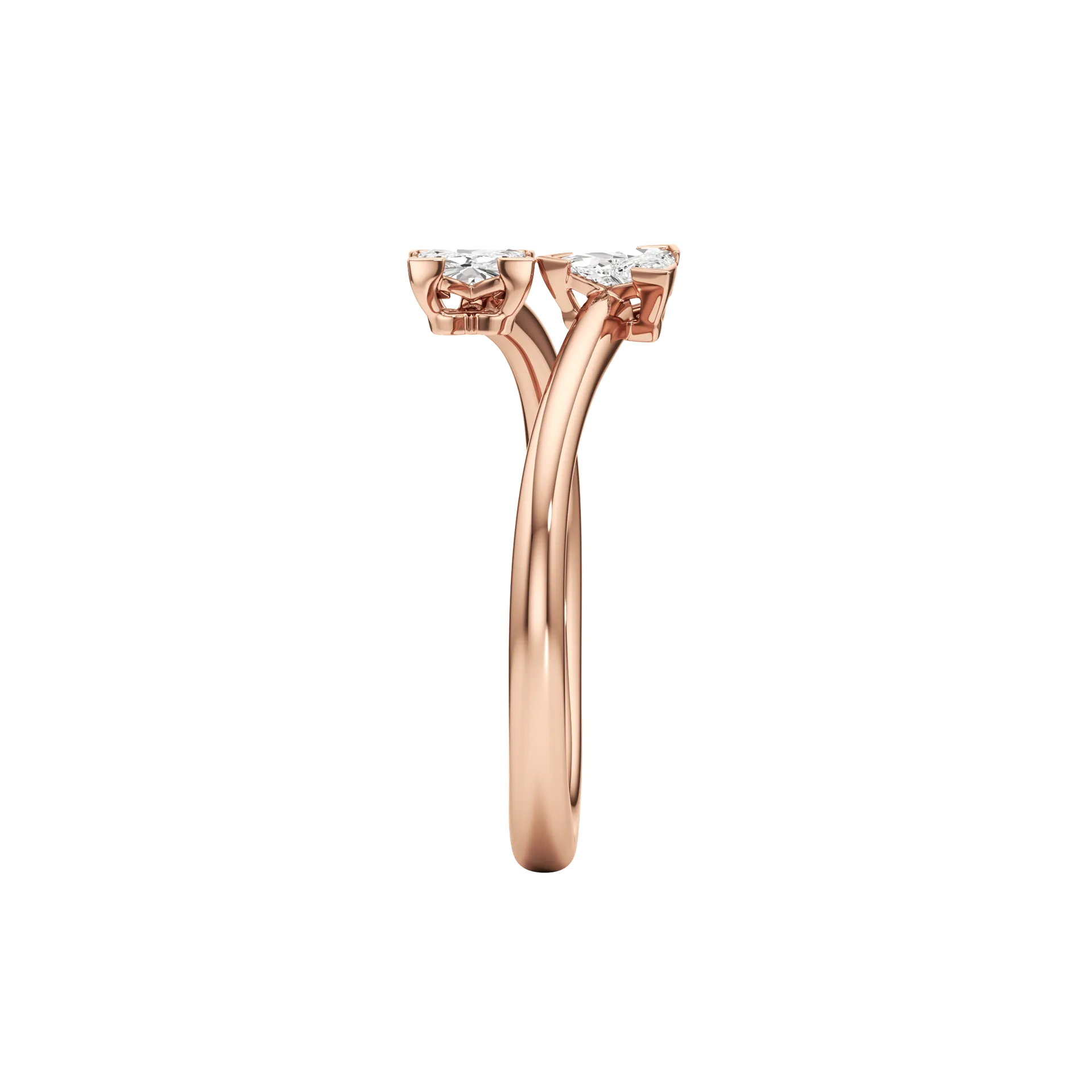 Dolcezza Rose 4