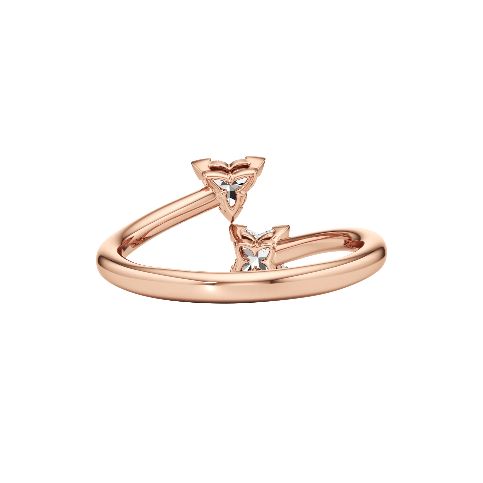 Dolcezza Rose 5