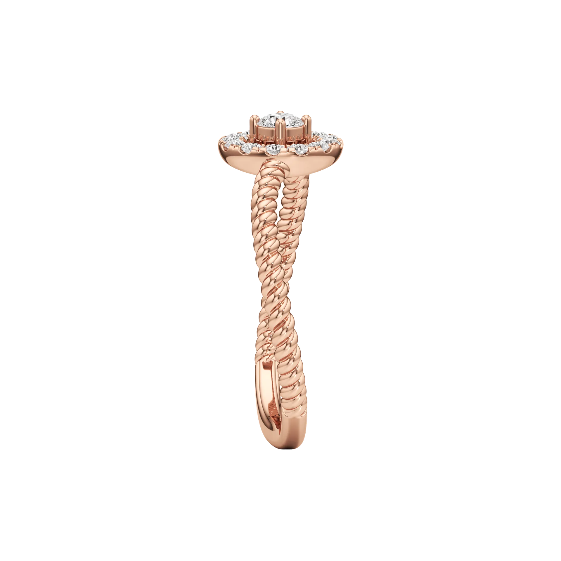 Sinuosa Rose 4