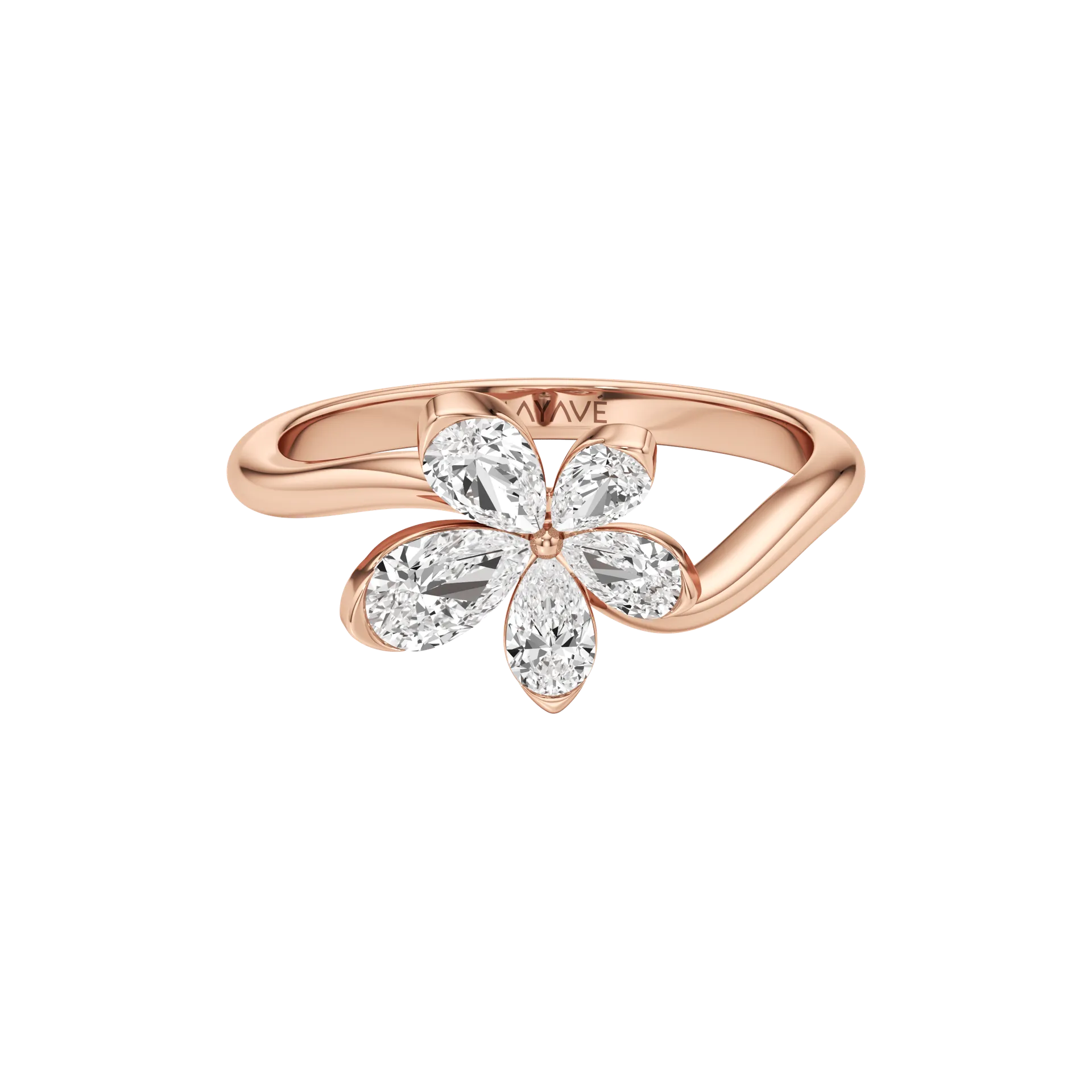 Ondina Rose 1