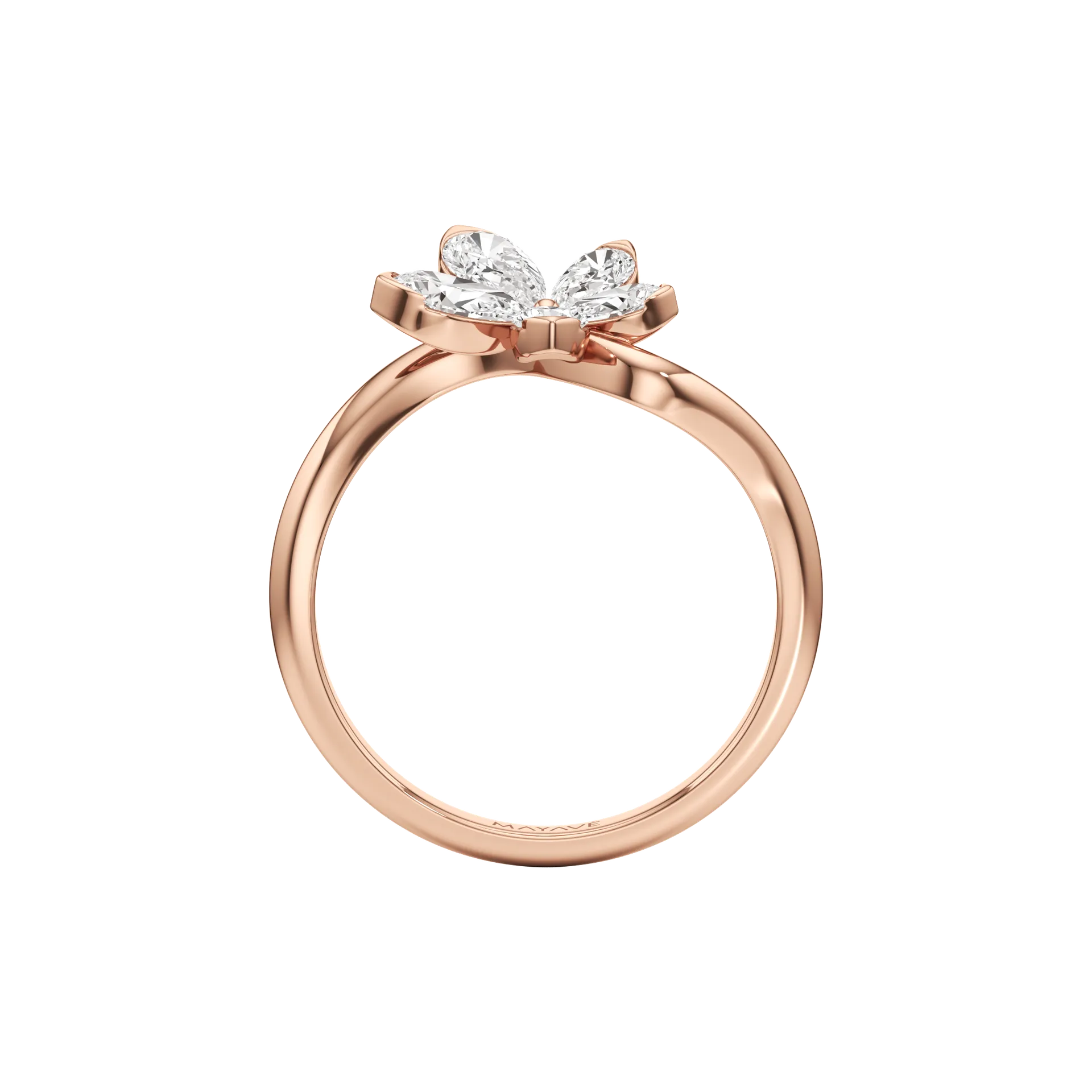 Ondina Rose 3