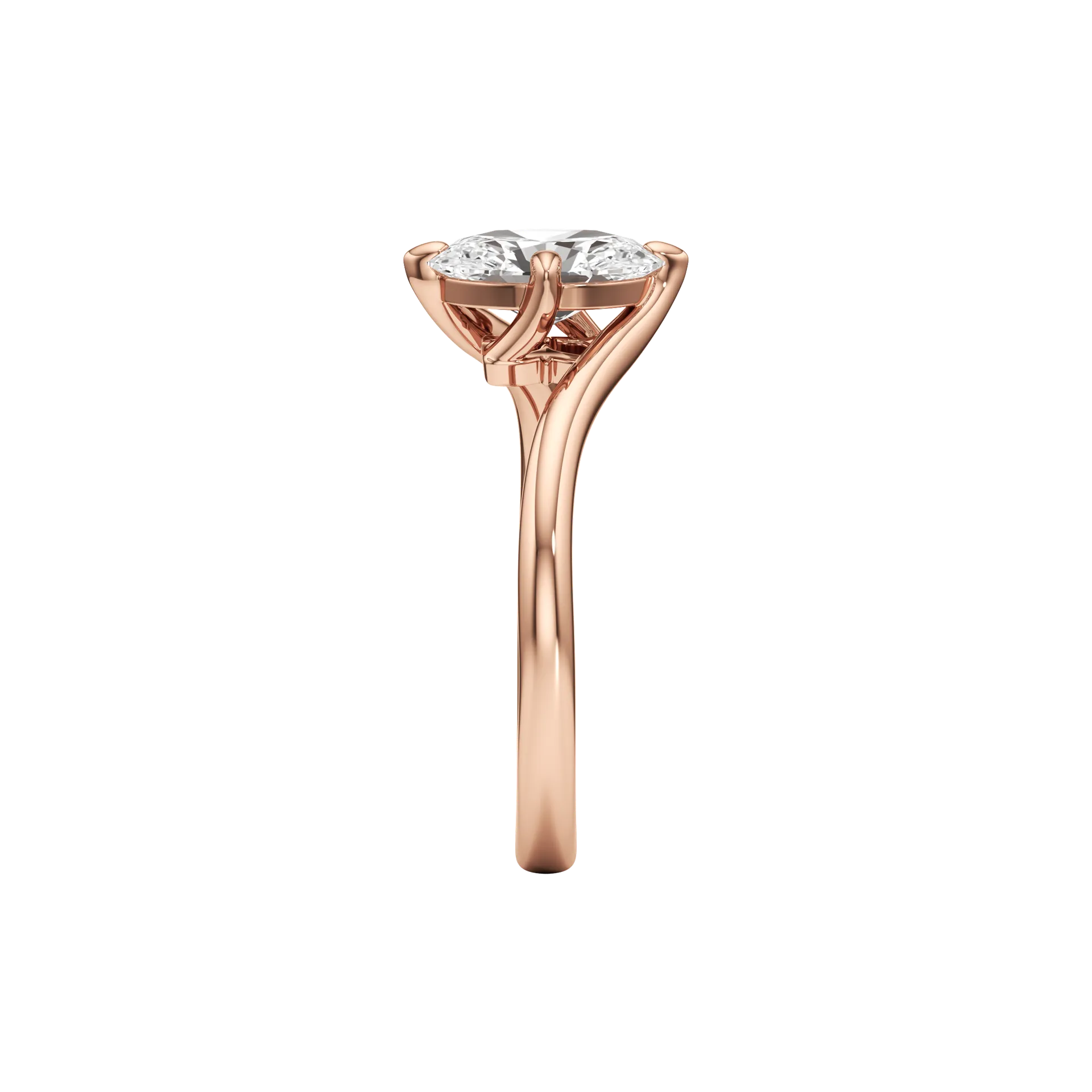 Concorde Élan Rose 4