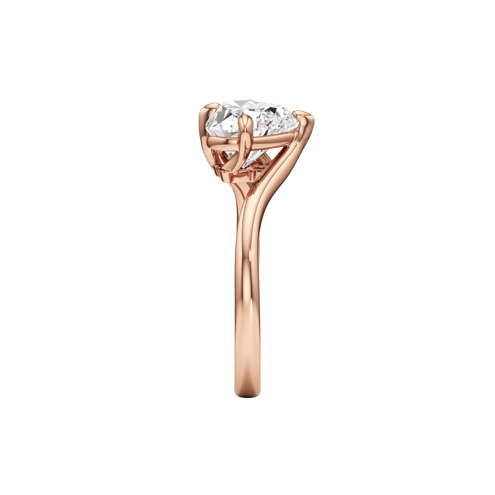 Concorde Halo Rose 4