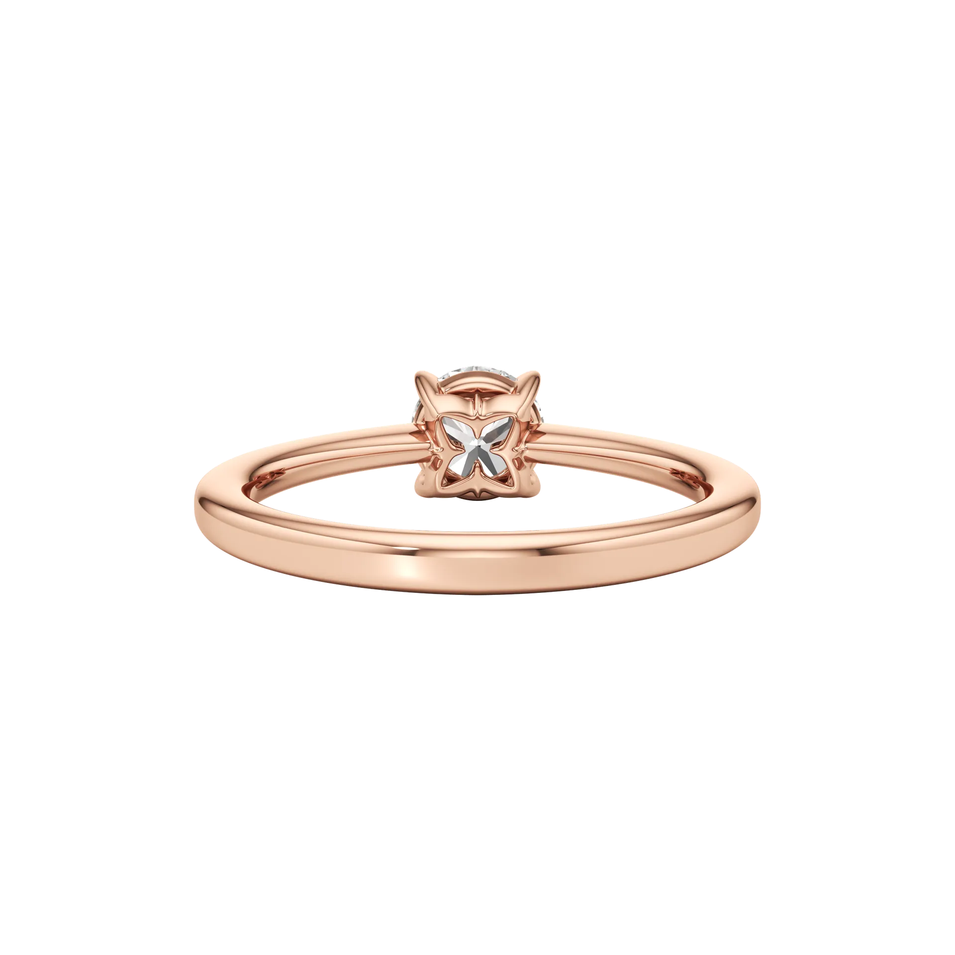Absolune Douce Rose 5