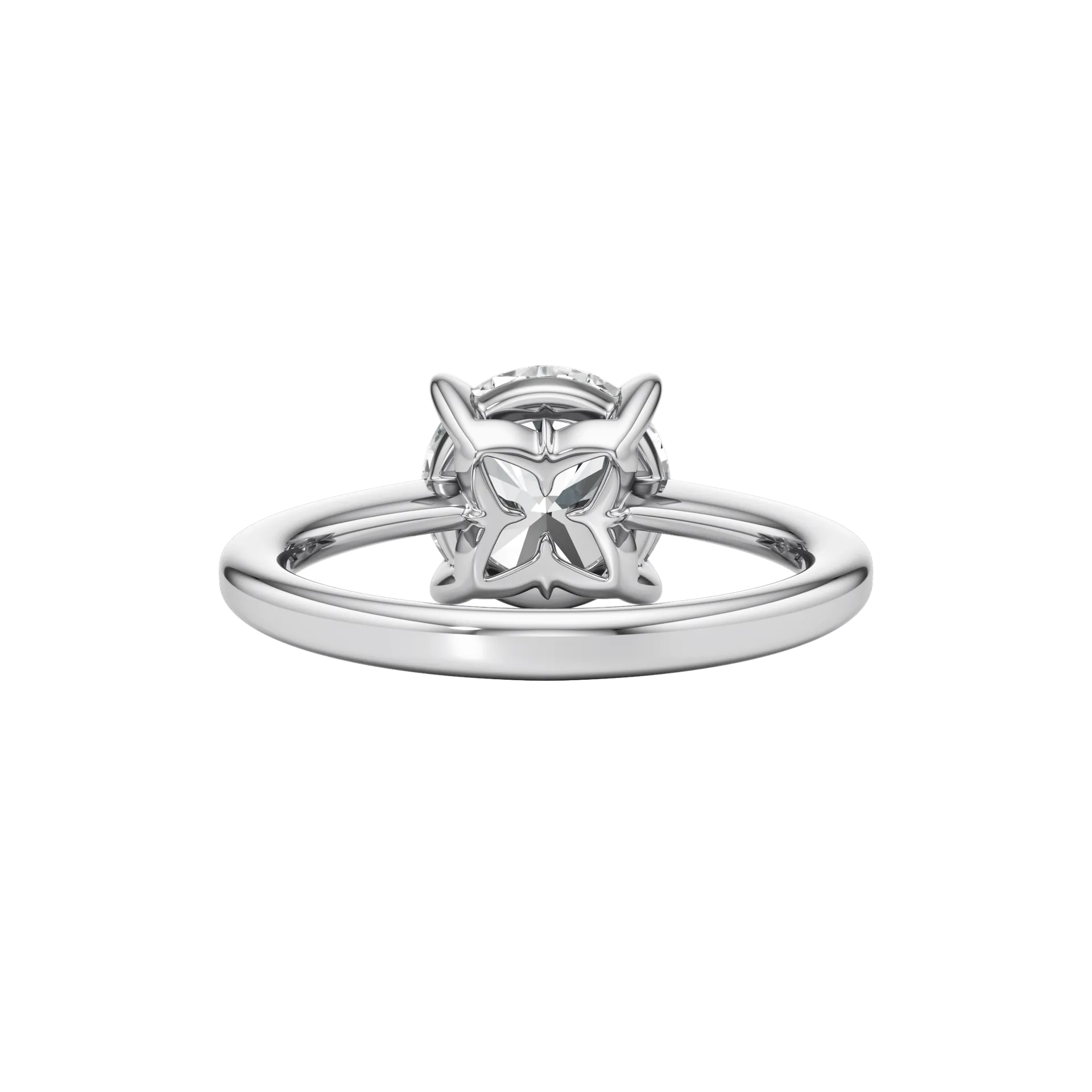 Absolune Forte White 5