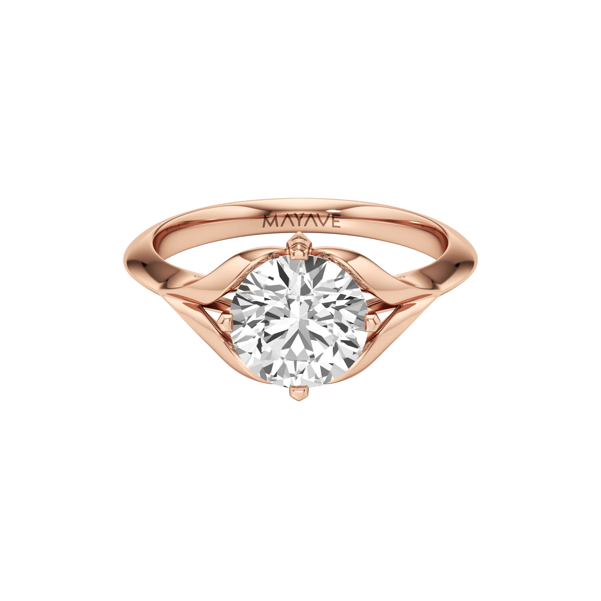 Absolune Claire Rose 1