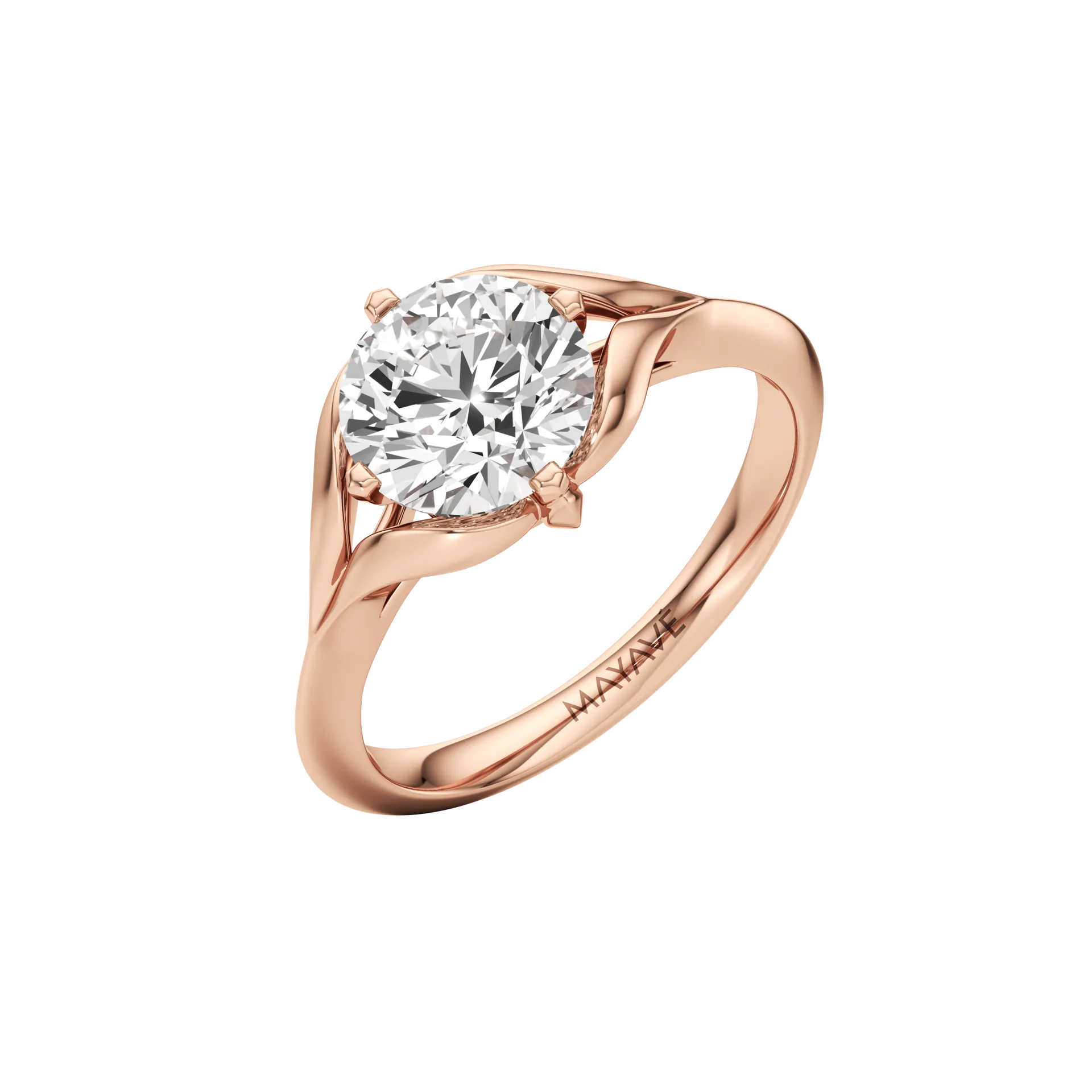 Absolune Claire Rose 2