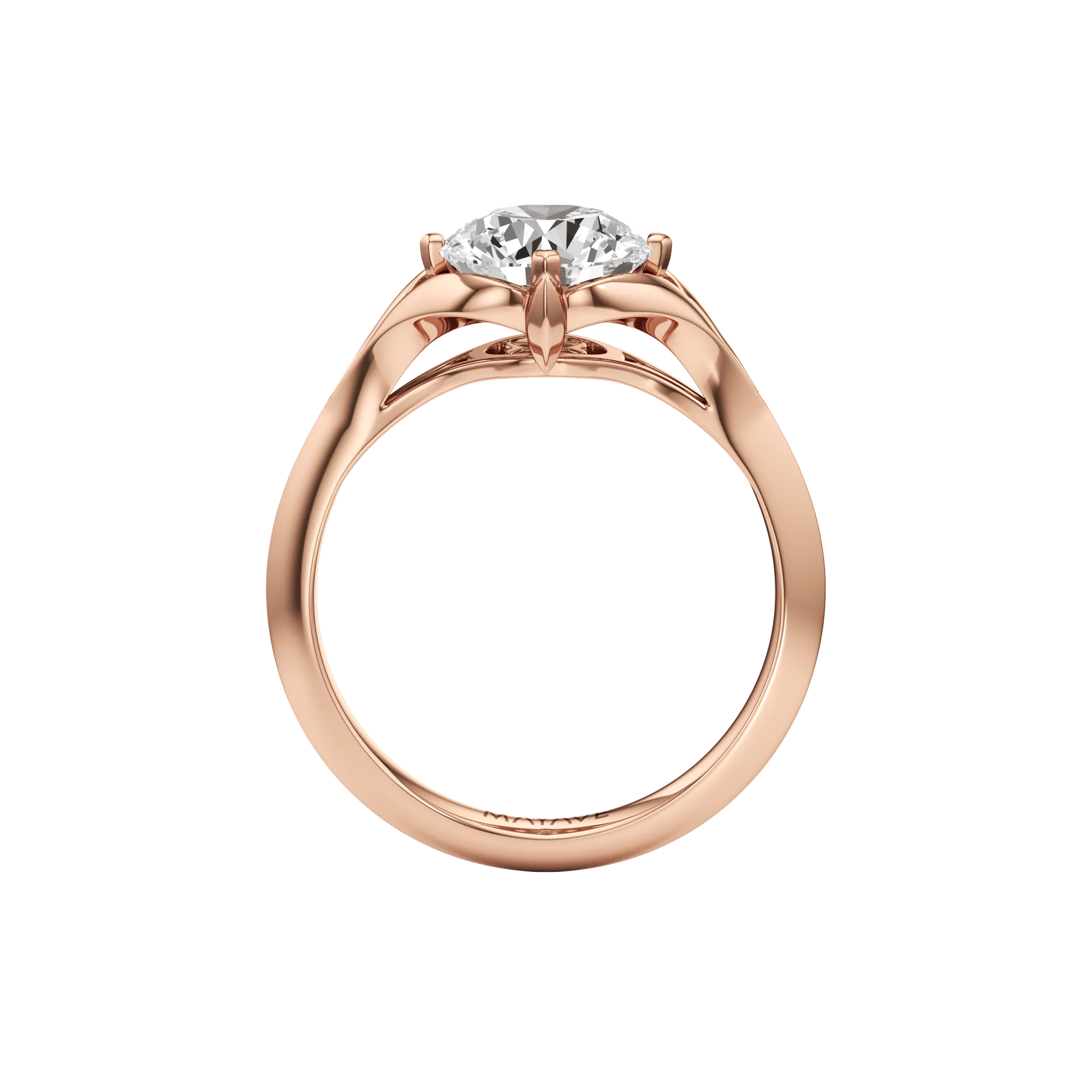 Absolune Claire Rose 3