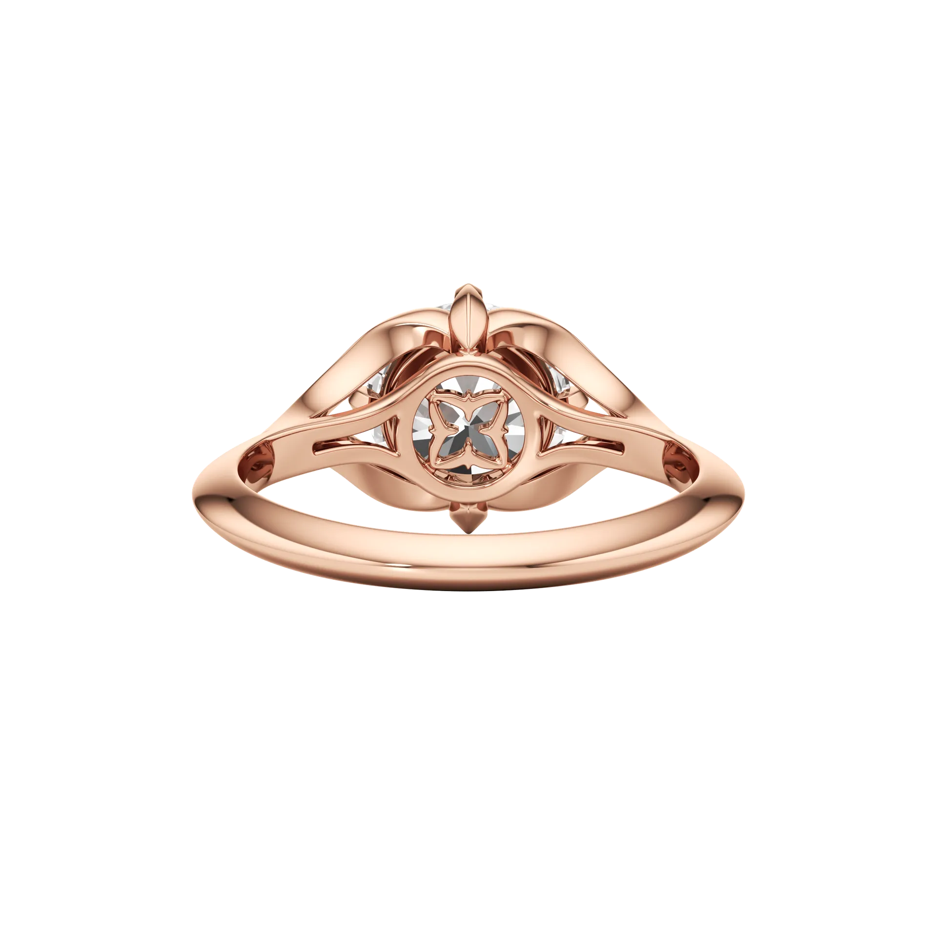 Absolune Claire Rose 5