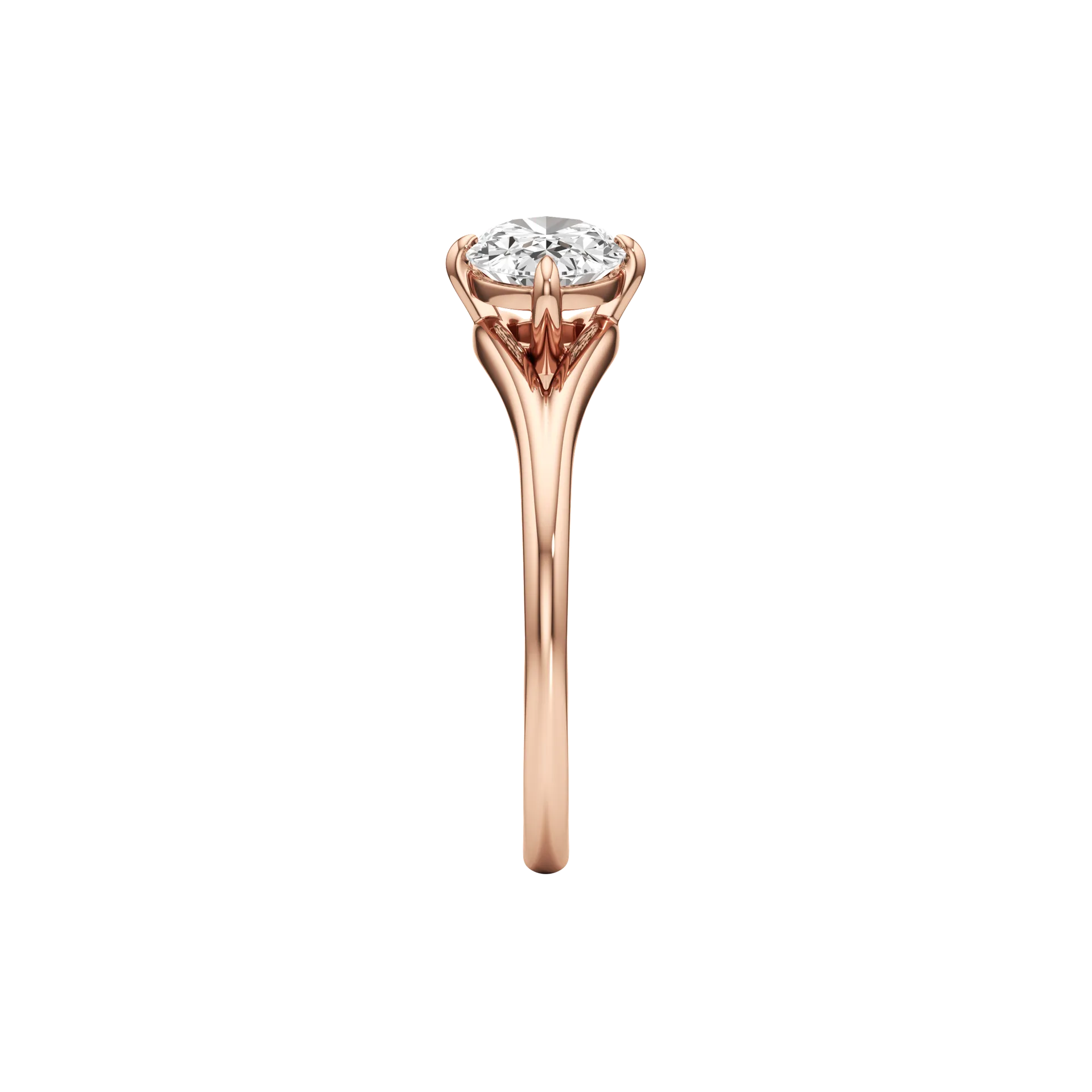 Suprema Rose 4